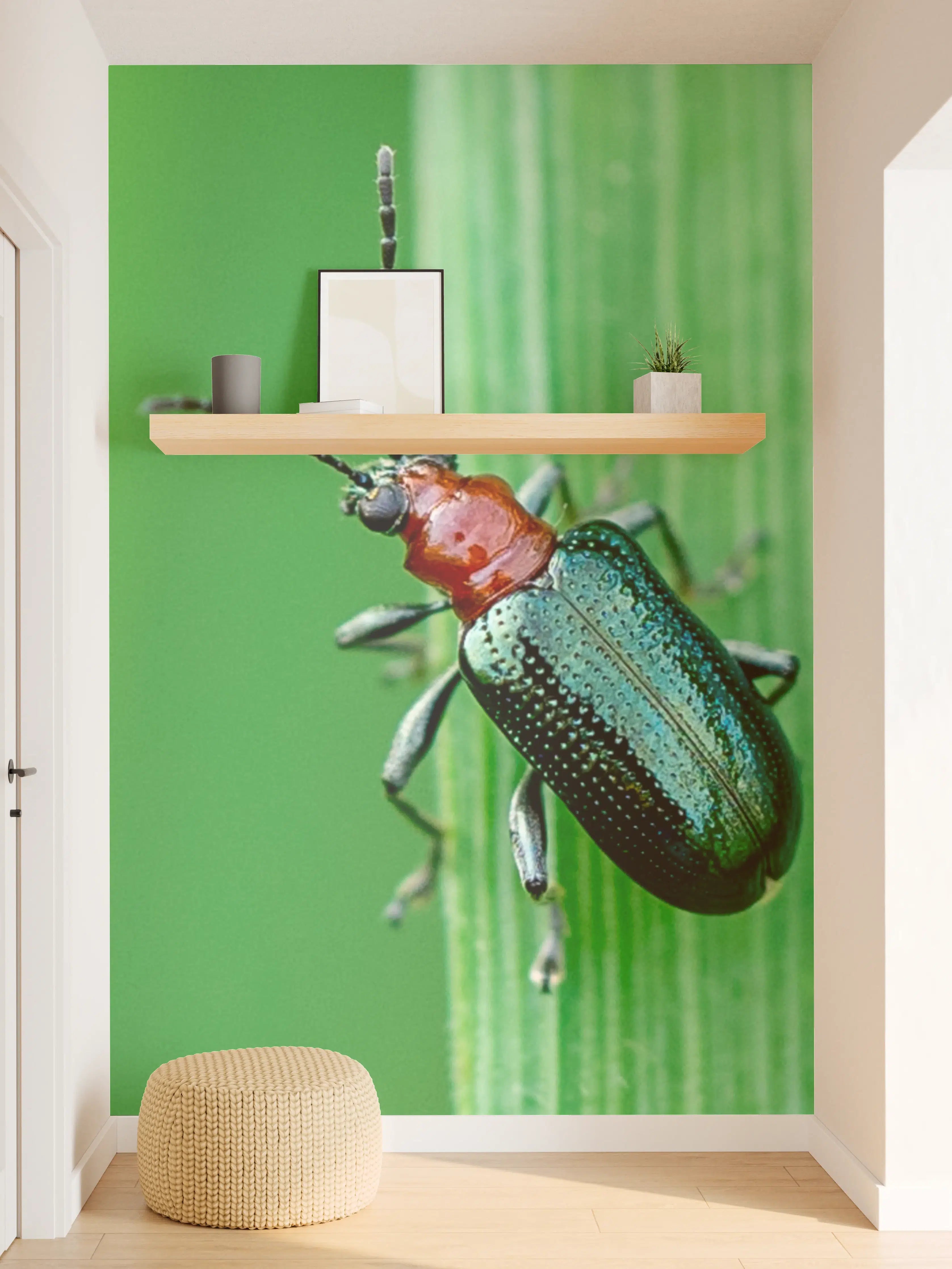 Wandverkleidung Flur - Käfer auf Blatt