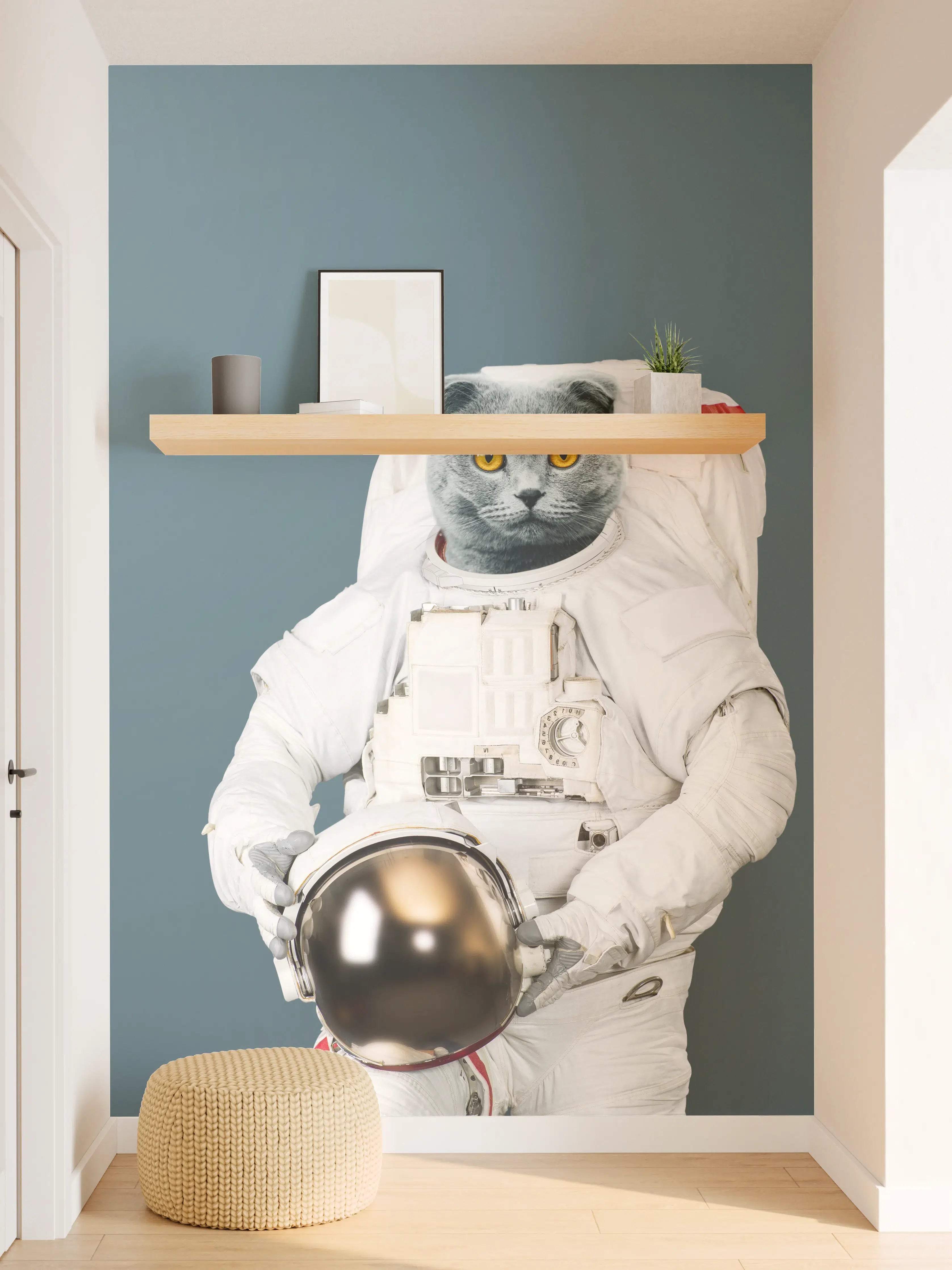 Wandverkleidung Flur - Katzen-Astronaut Grau-Helm