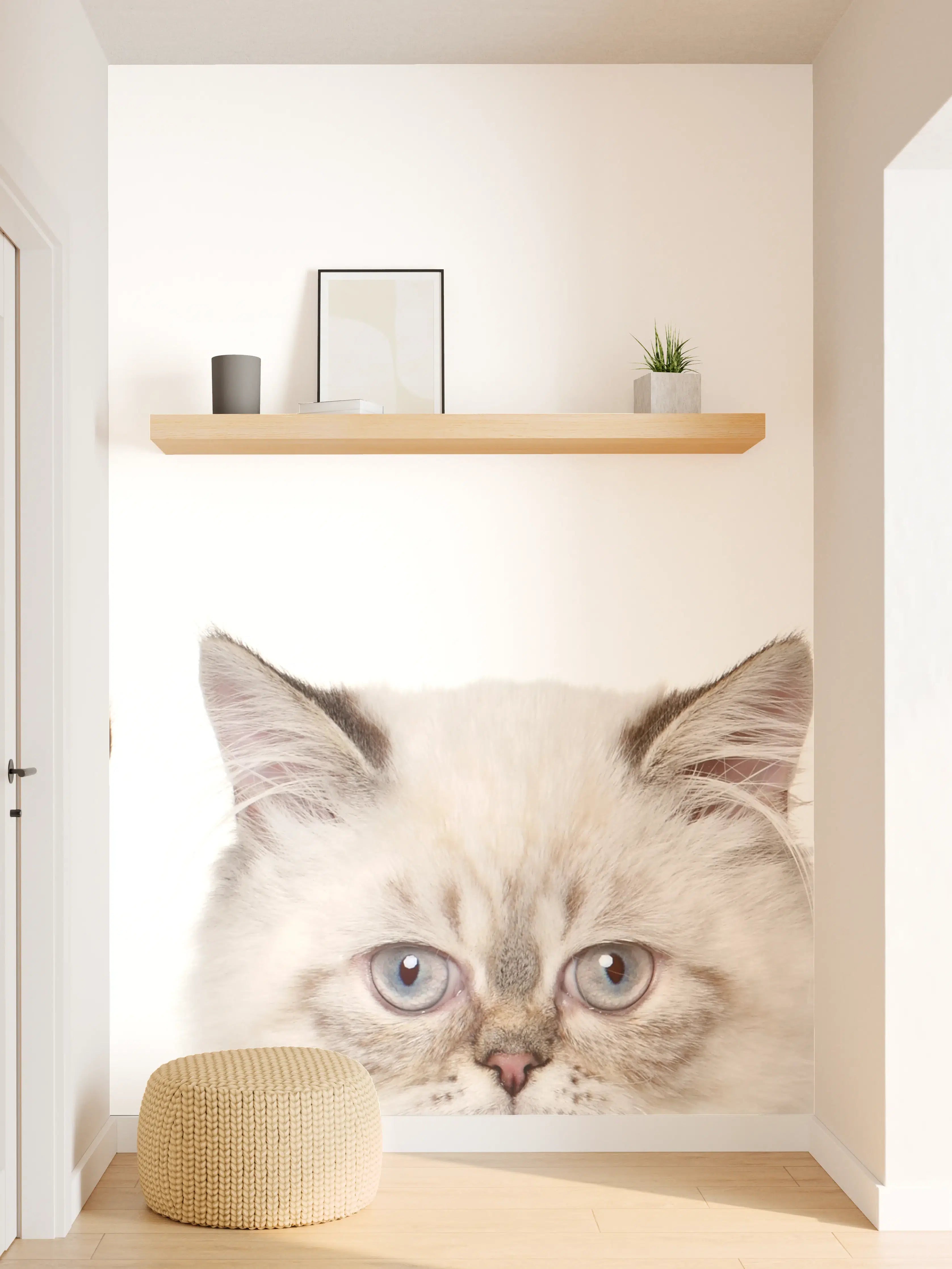Wandverkleidung Flur - Katzen-Kopf-Reihe in Weiß-Grau