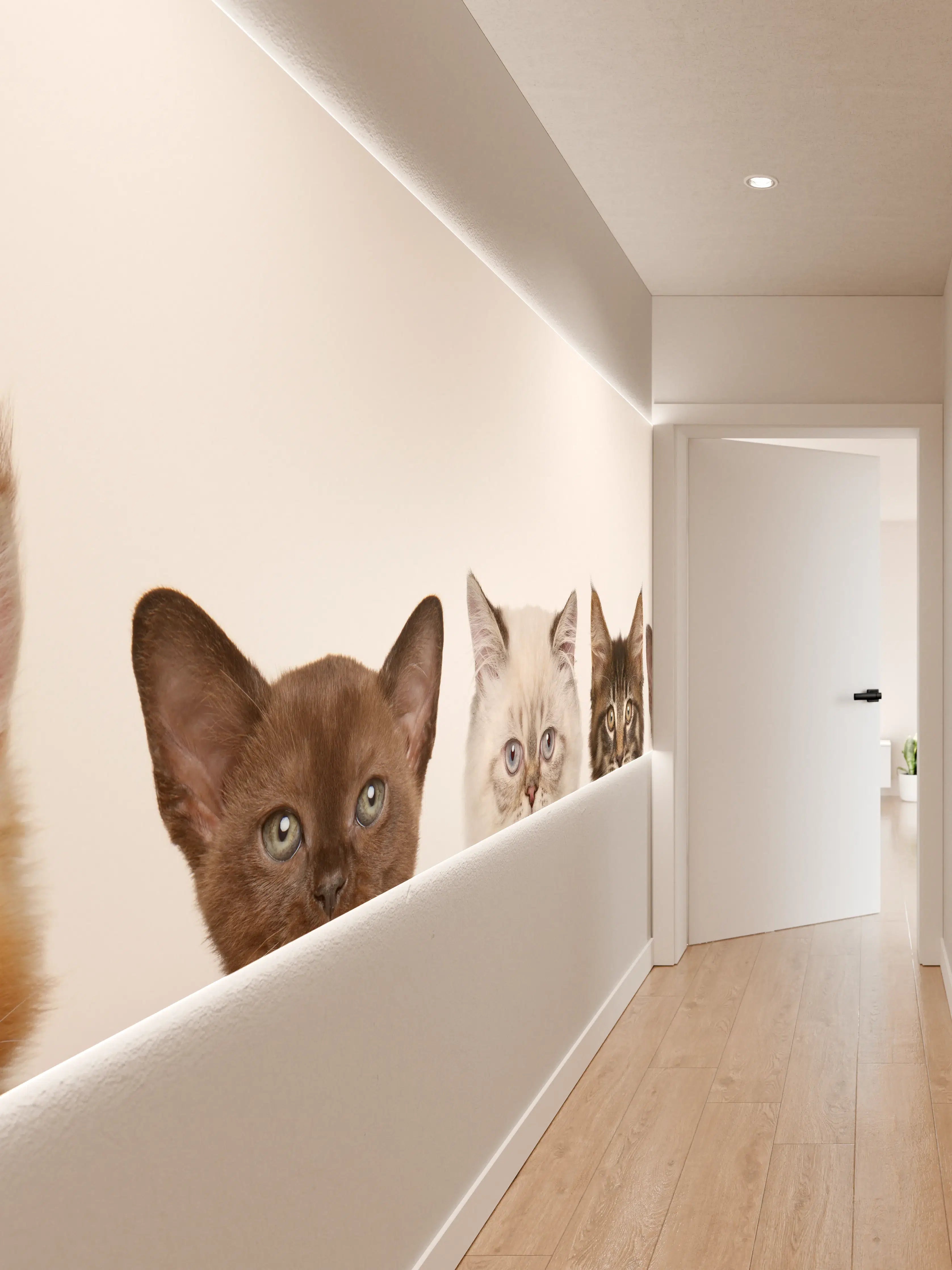 Wandverkleidung Flur - Katzen-Kopf-Reihe in Weiß-Grau
