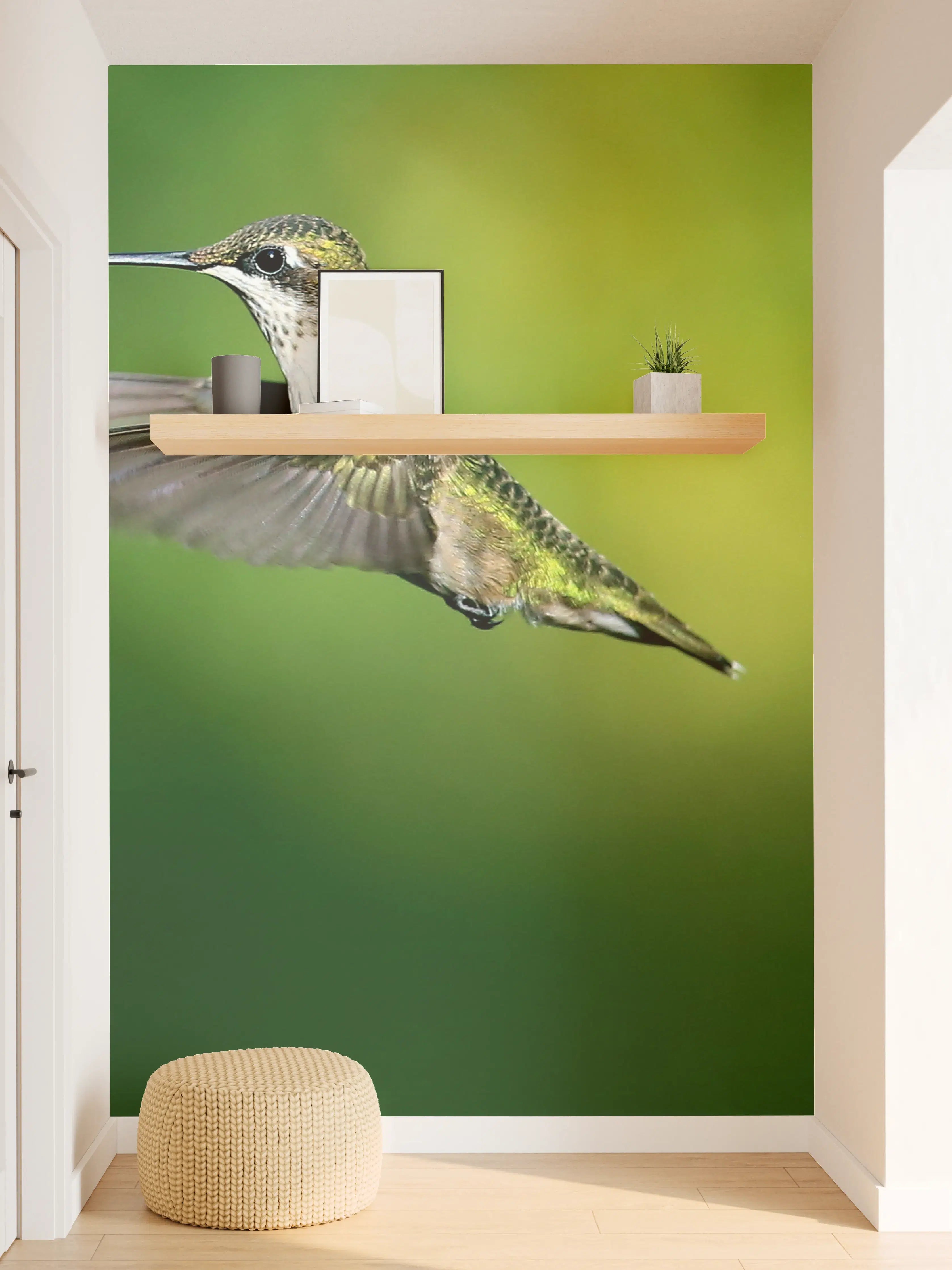 Wandverkleidung Flur - Kolibri-Weibchen im Flug