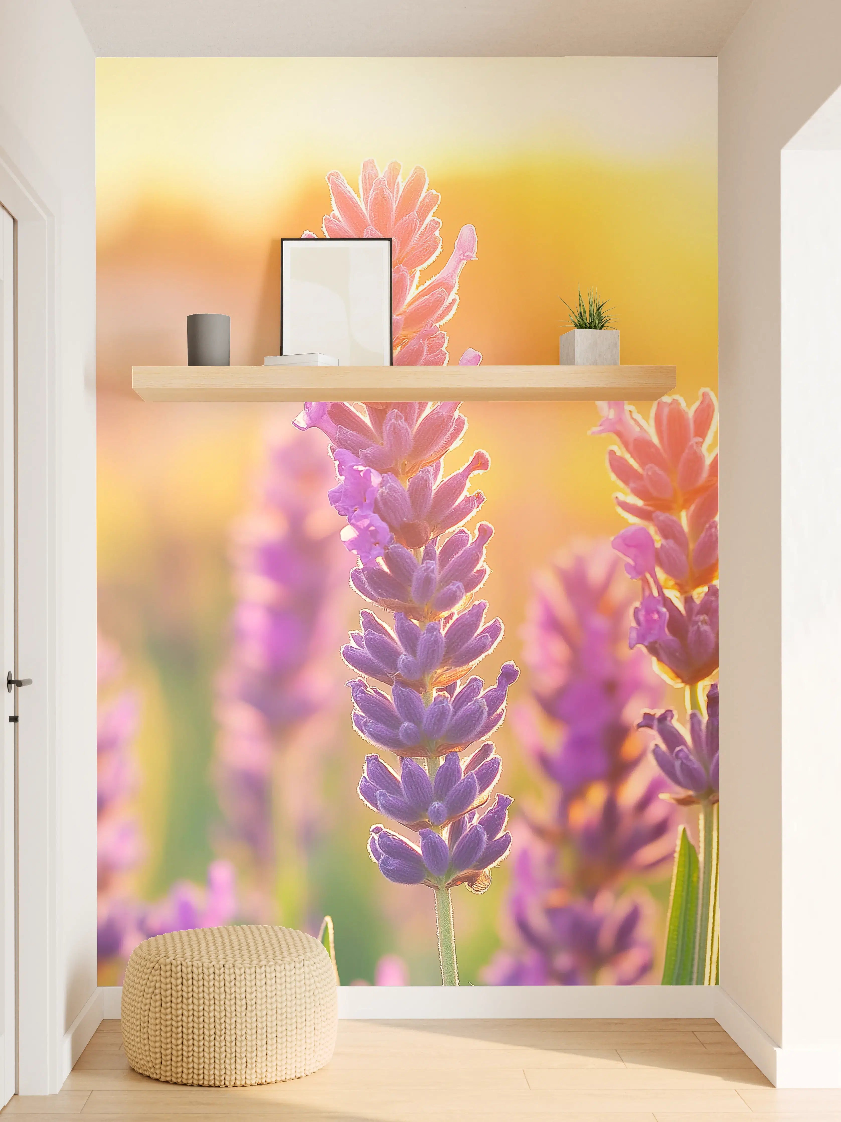 Wandverkleidung Flur - Lavendel in goldenem Abendlicht