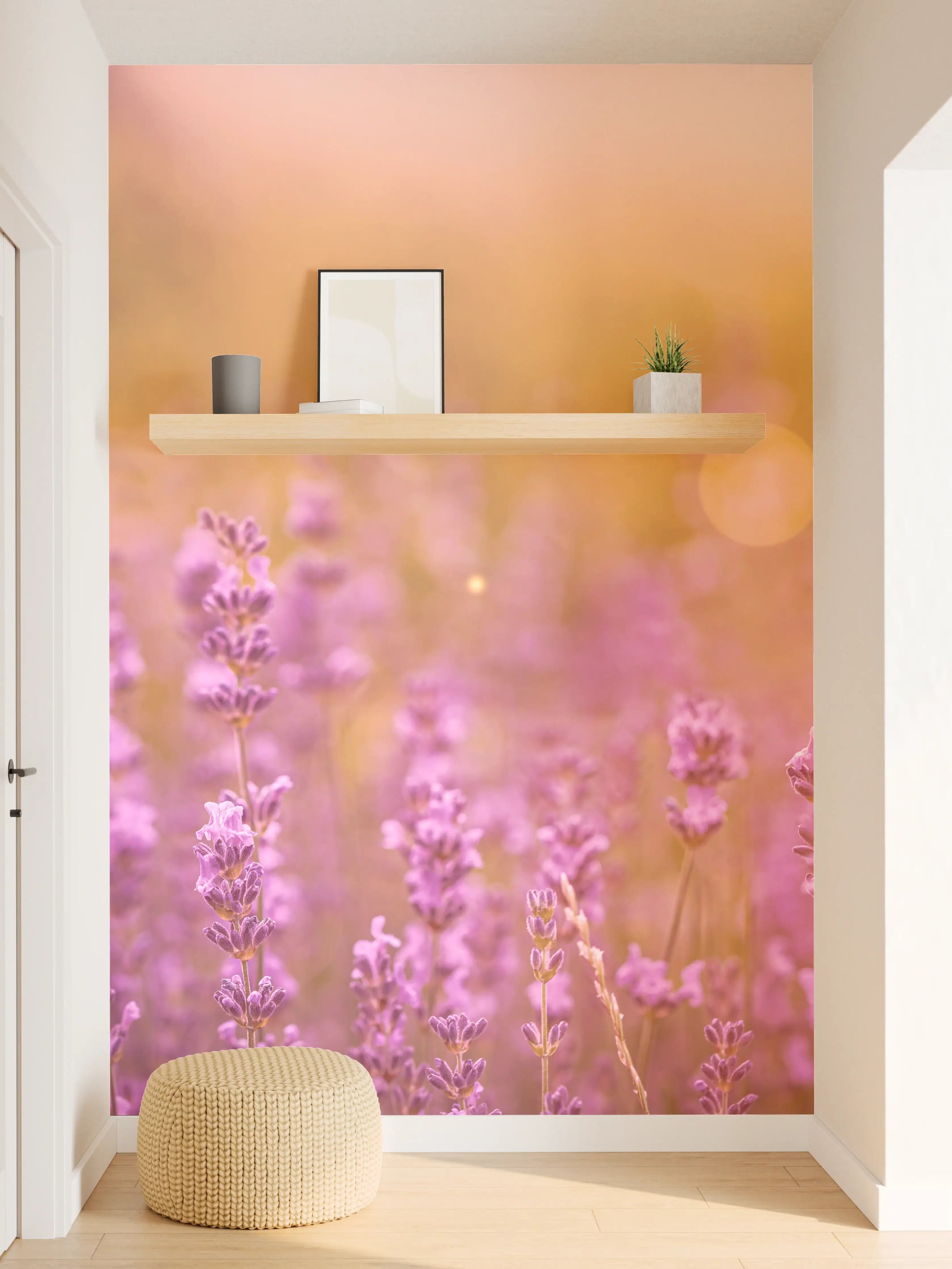 Wandverkleidung Flur - Lavendelfeld im warmen Abendlicht