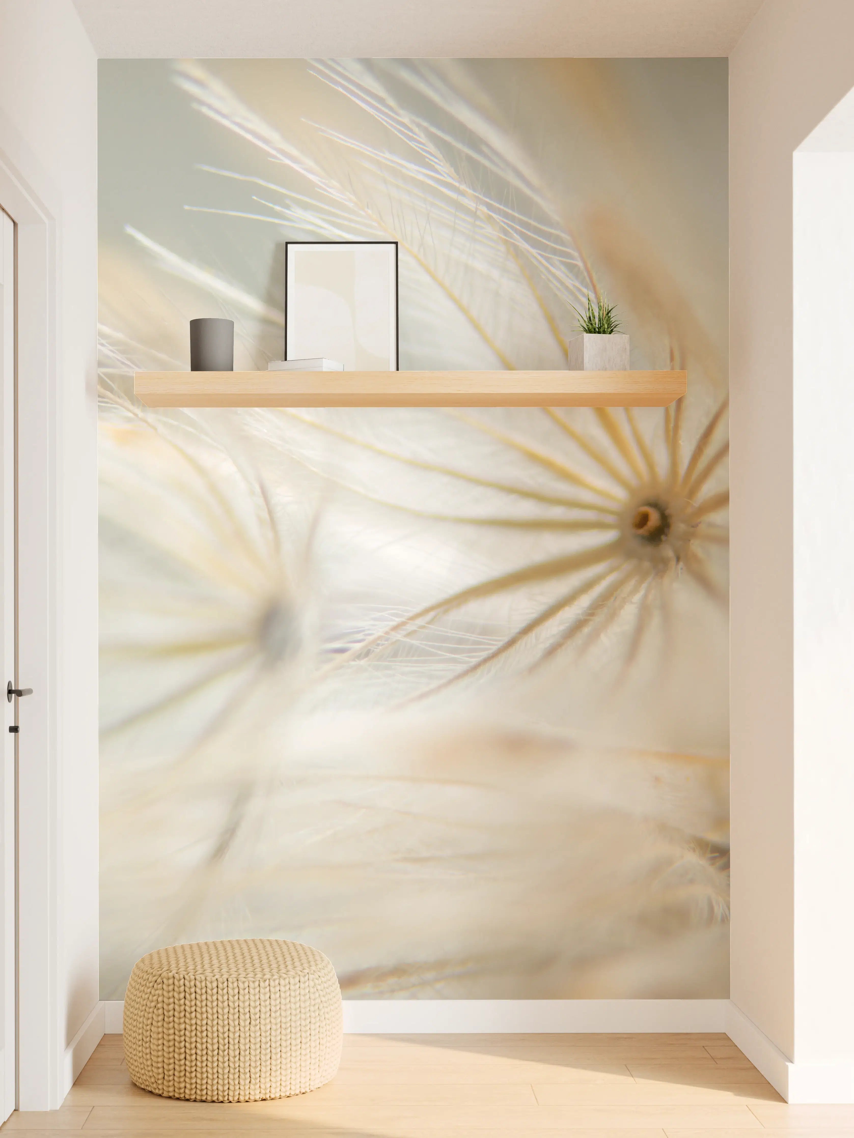 Wandverkleidung Flur - Leichte Pusteblumen in Nahaufnahme