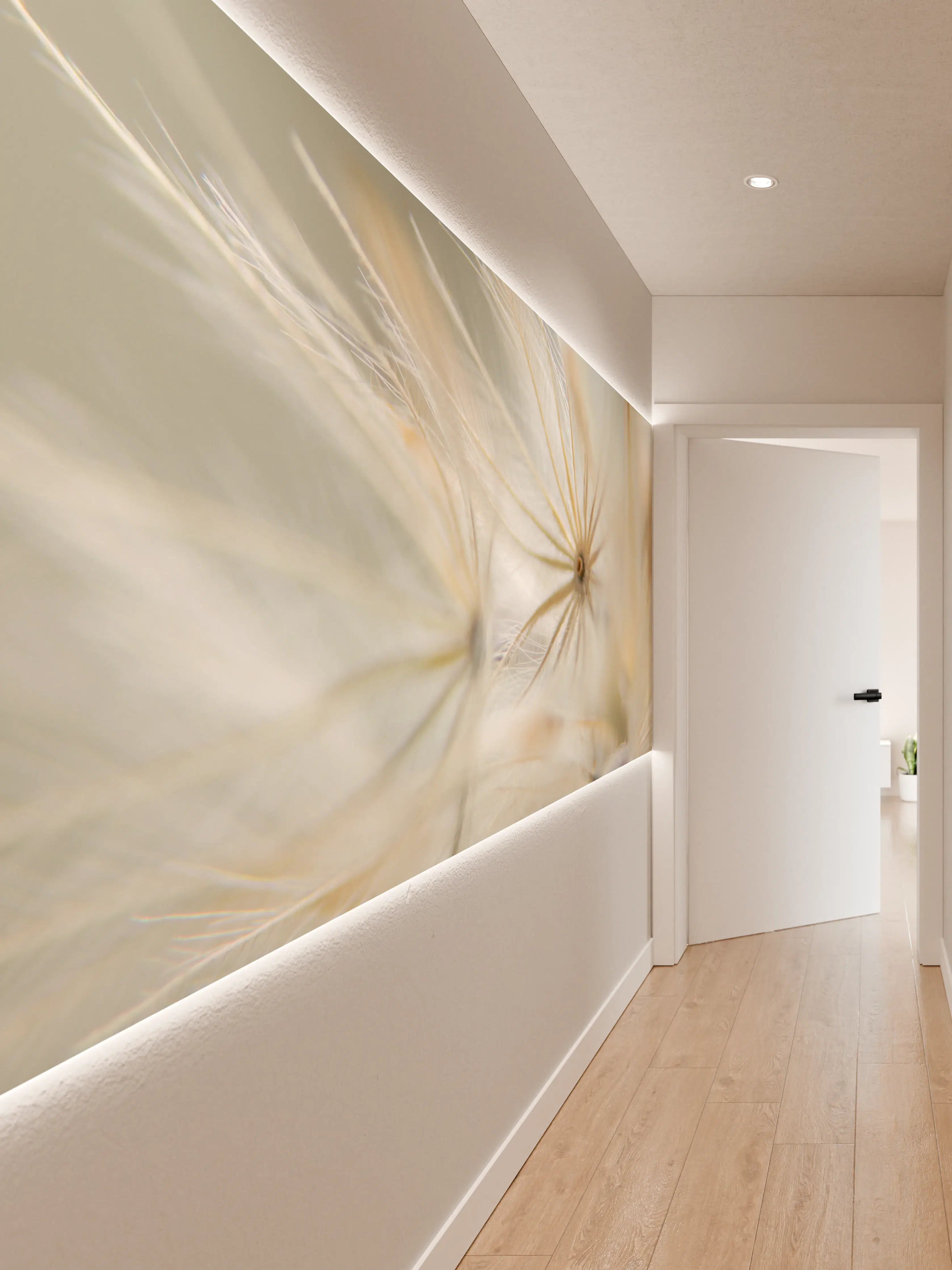 Wandverkleidung Flur - Leichte Pusteblumen in Nahaufnahme