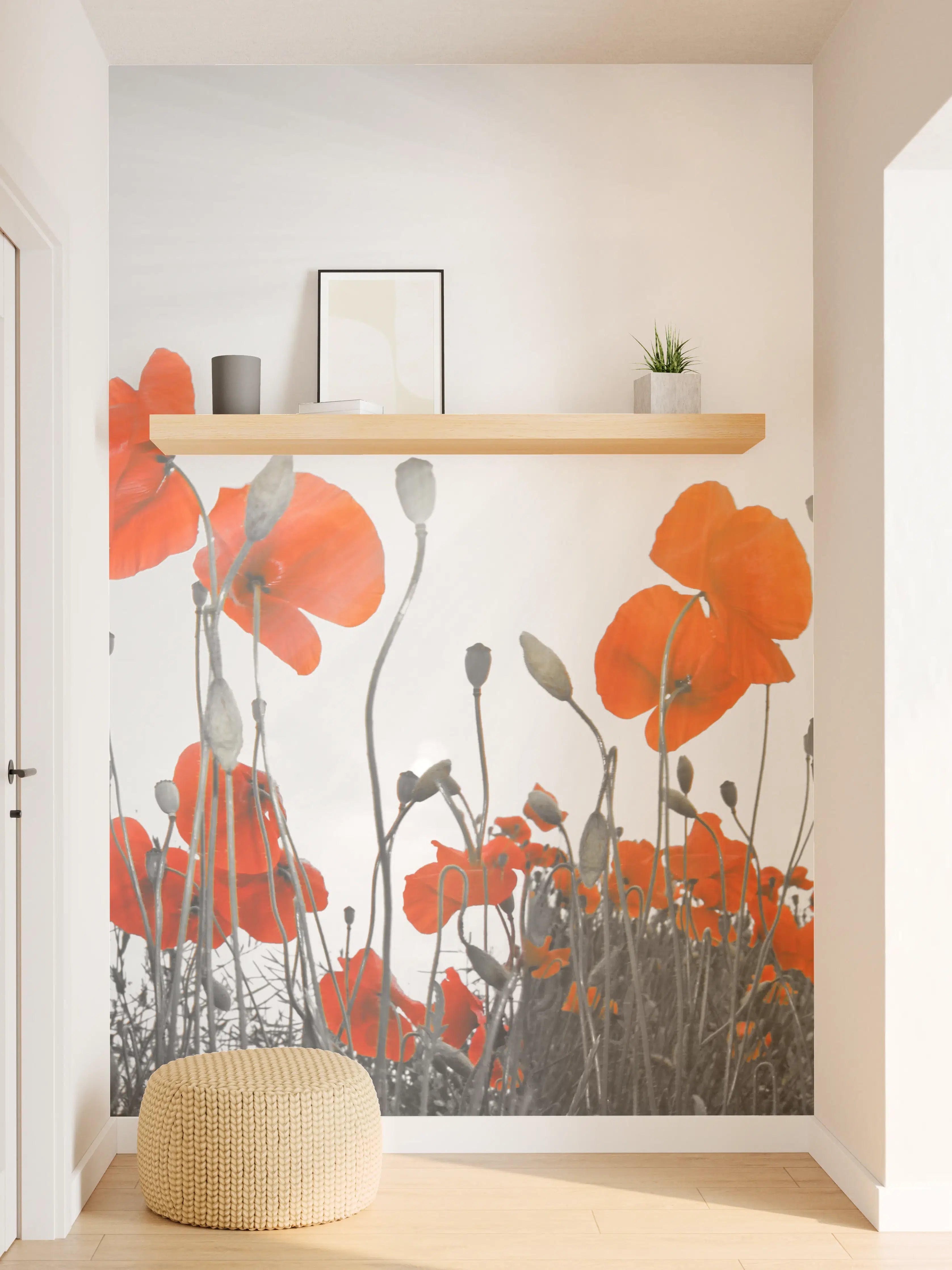 Wandverkleidung Flur - Leuchtend rote Mohnblumen im Sonnenlicht