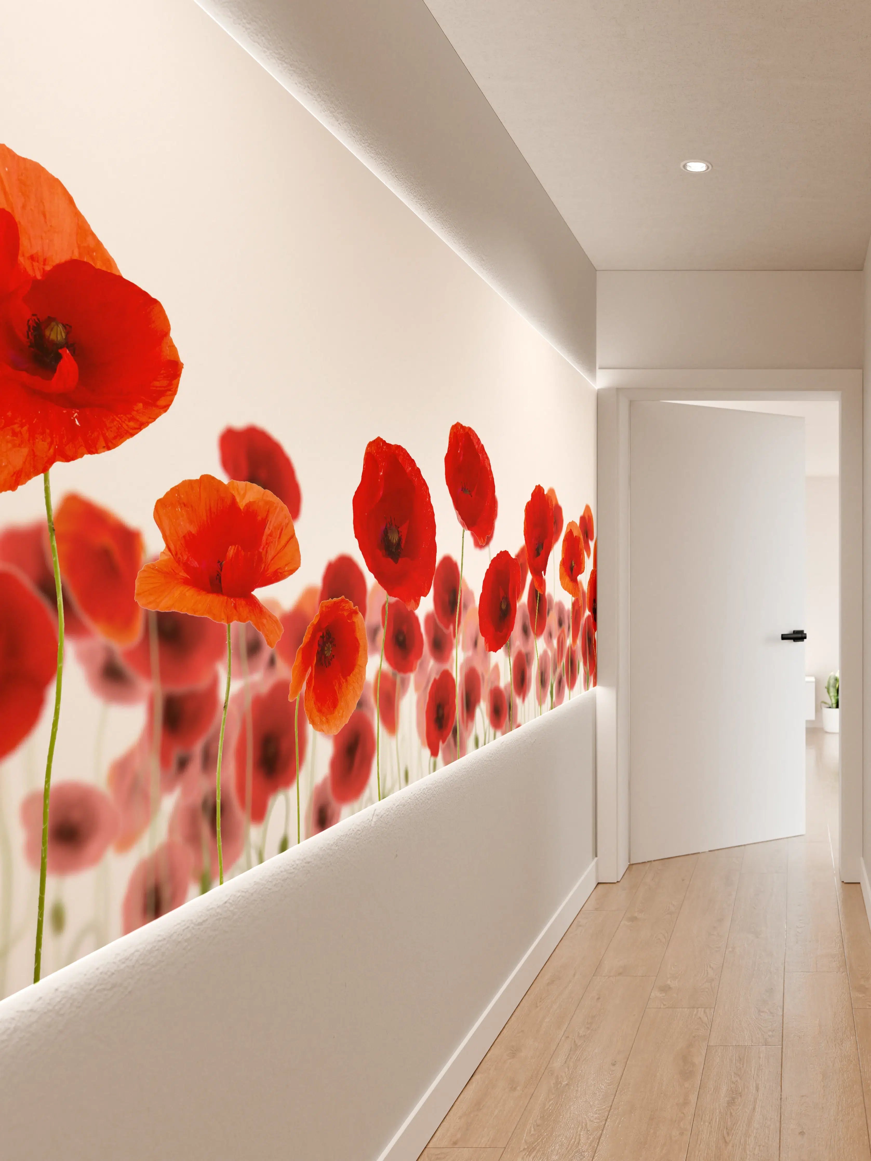Wandverkleidung Flur - Leuchtende Mohnblumen im Frühlingslicht
