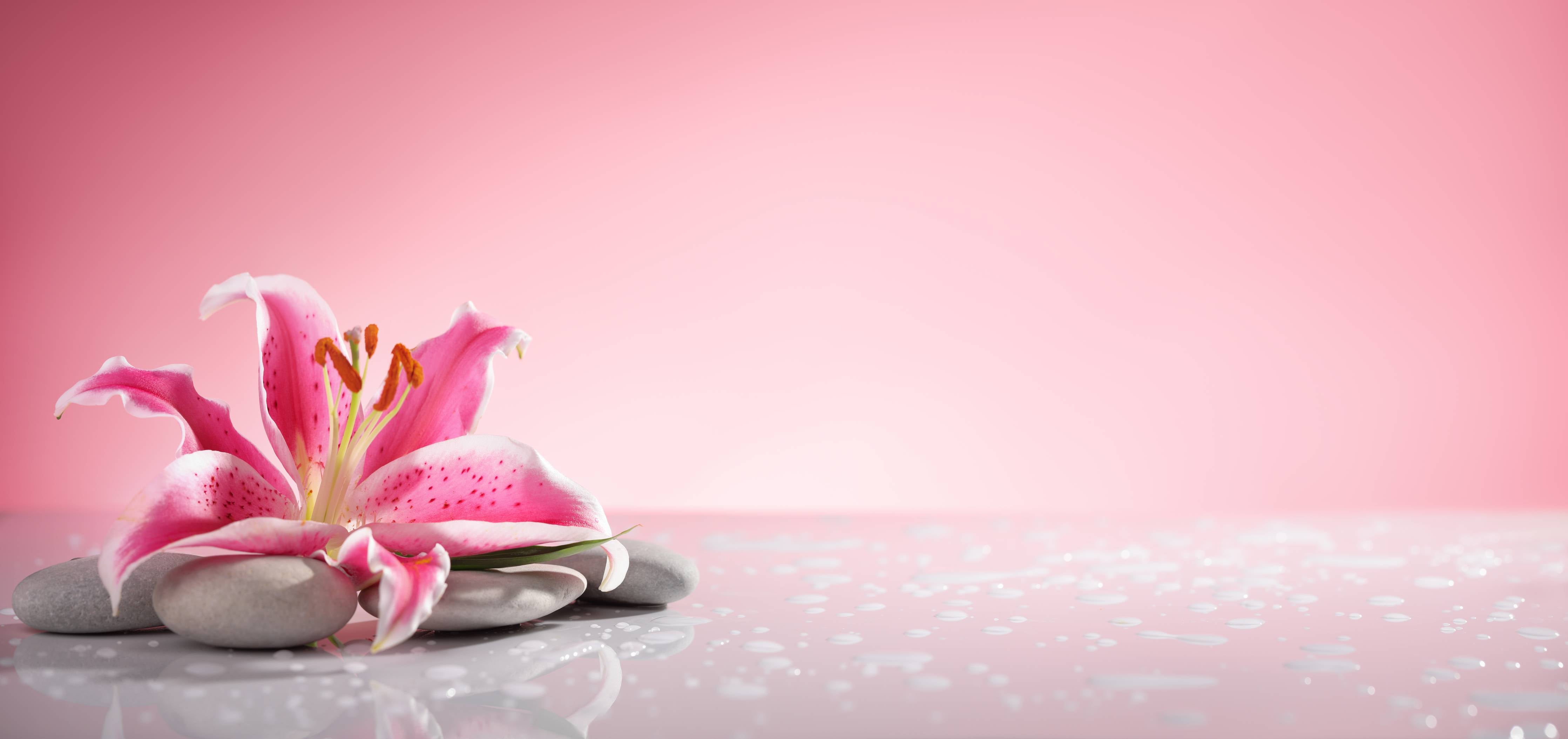 Wandverkleidung Flur-Lilie und Massagesteine