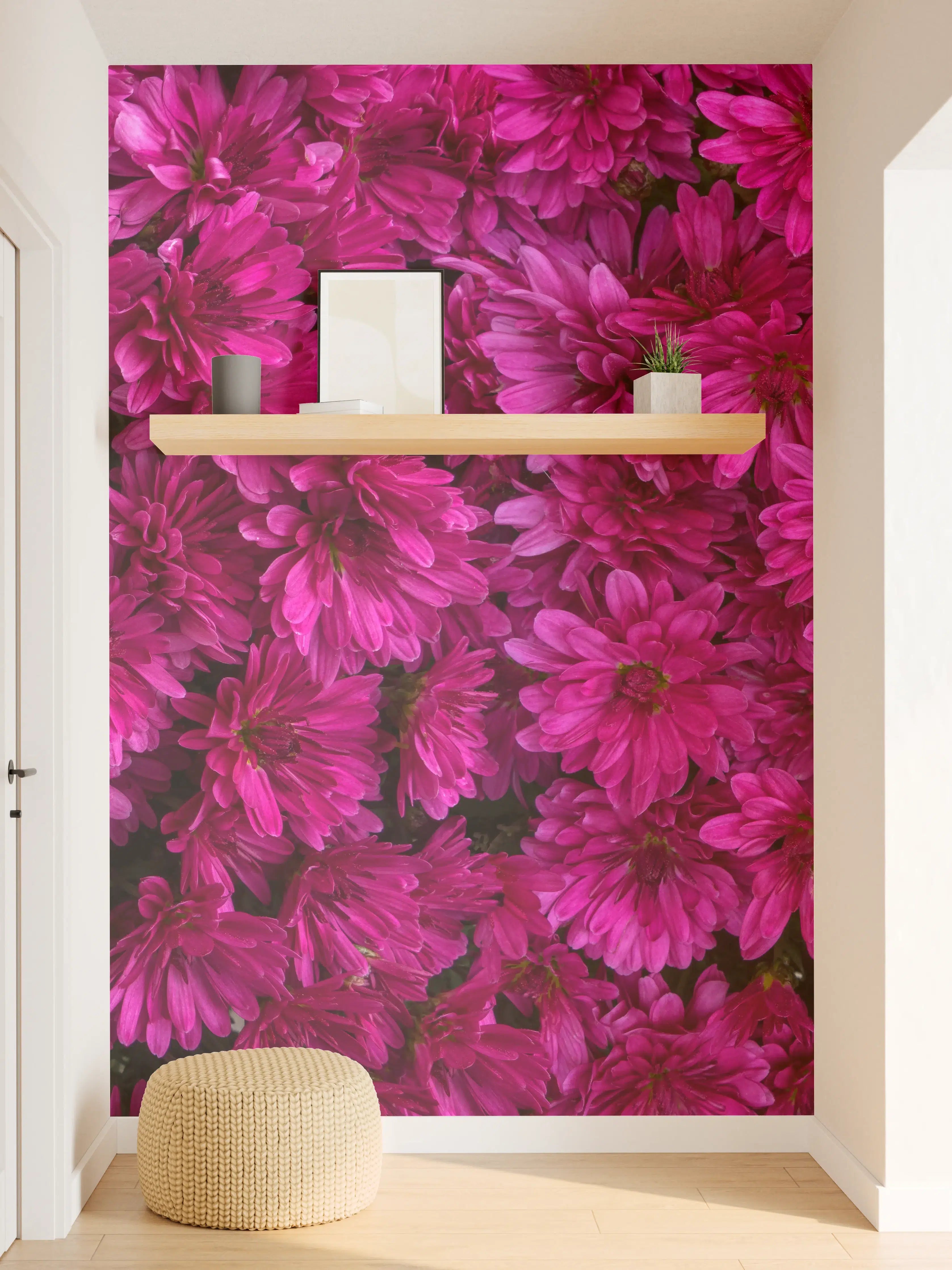 Wandverkleidung Flur - Magenta Blüten von Chrysanthemen