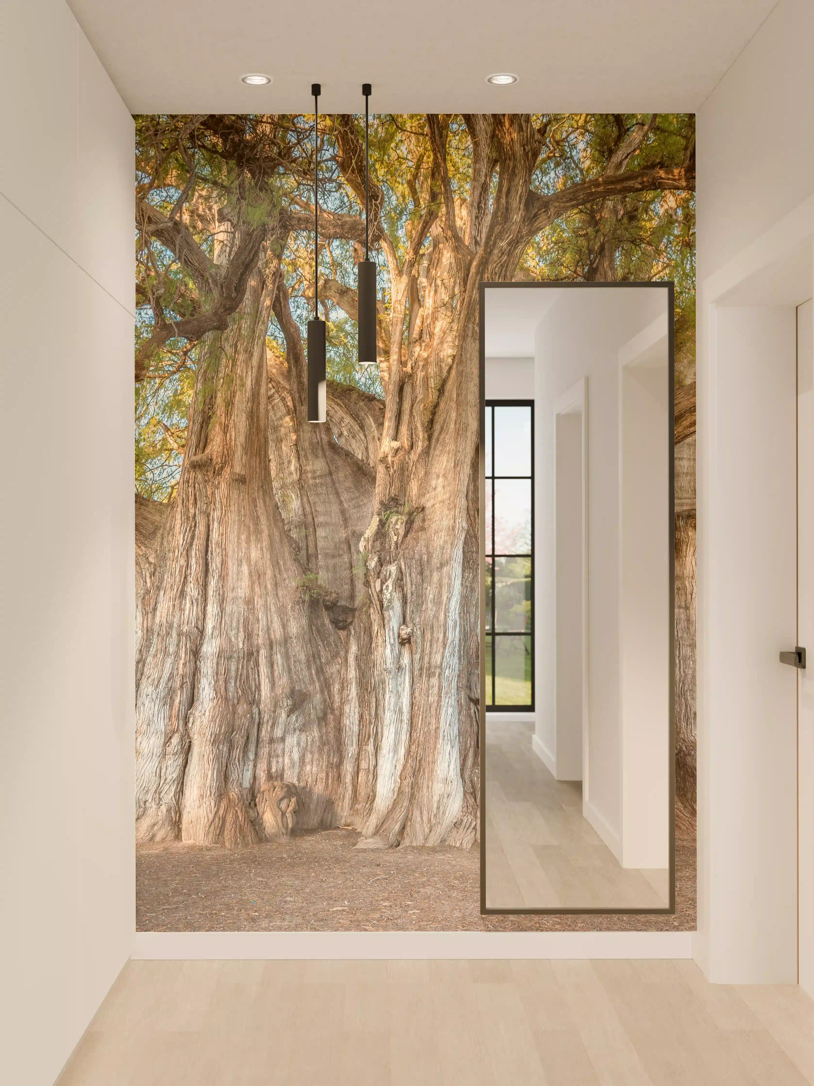 Wandverkleidung Flur - Majestöhcer Baum in natürlicher Umgebung