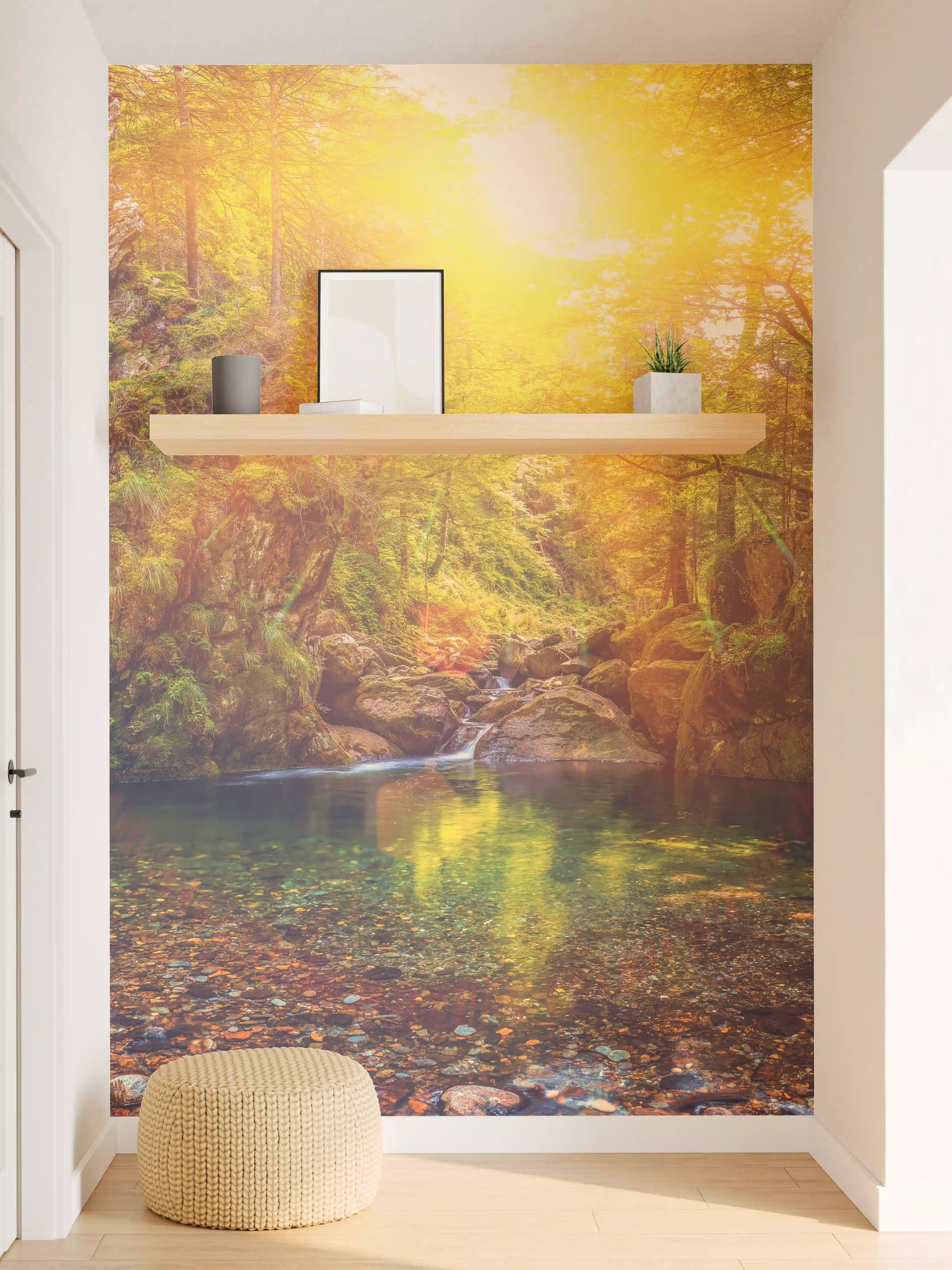 Wandverkleidung Flur - Malerische Sonnenuntergangsszene im Wald