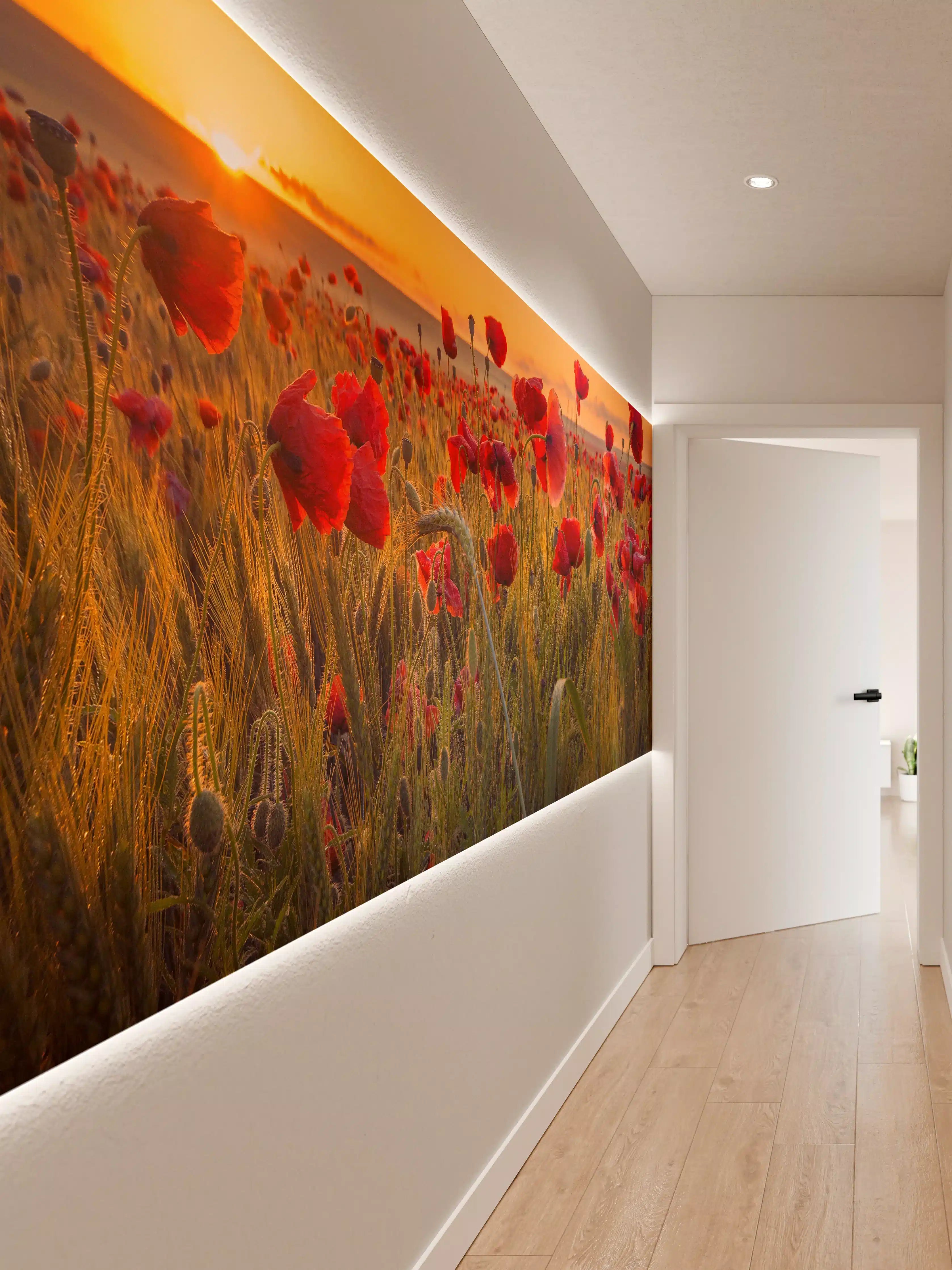 Wandverkleidung Flur - Malerischer Sonnenuntergang über einem Mohnfeld