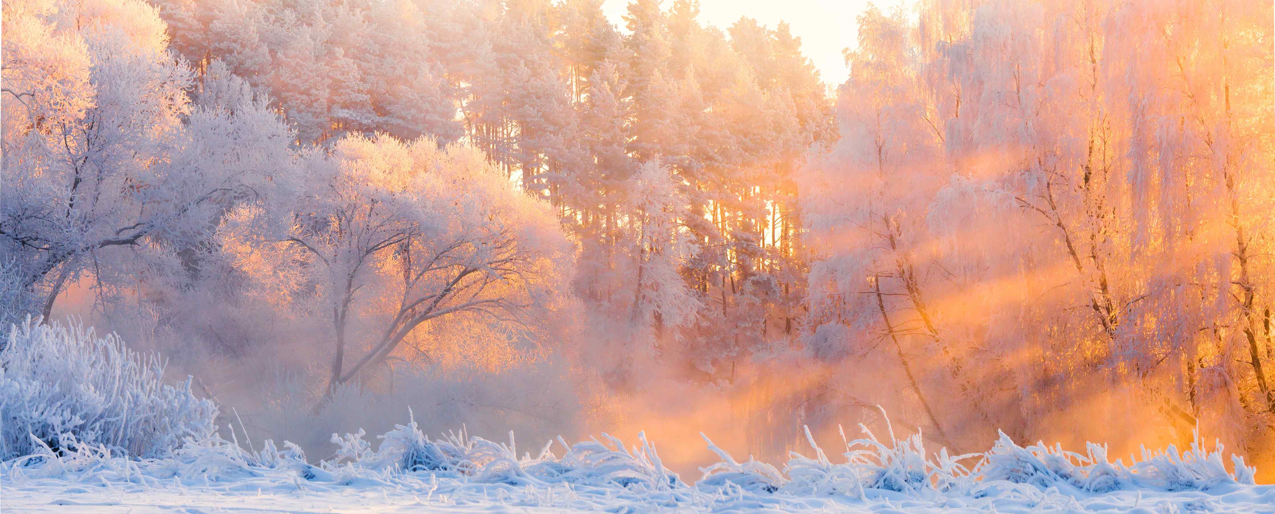 Wandverkleidung Flur-Morgen im frostigen Winterwald