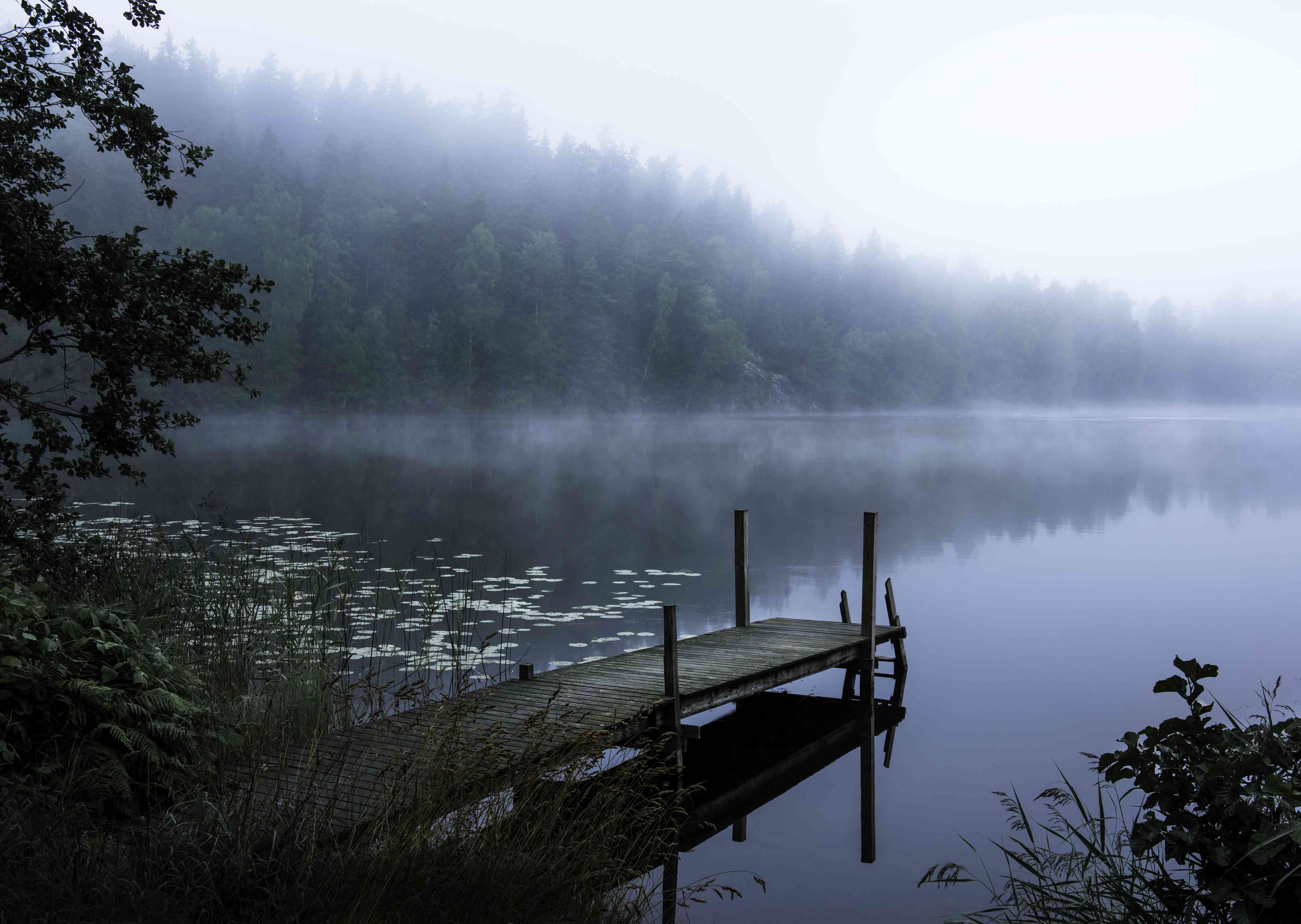 Wandverkleidung Flur-Nebel am ruhigen See mit Dock