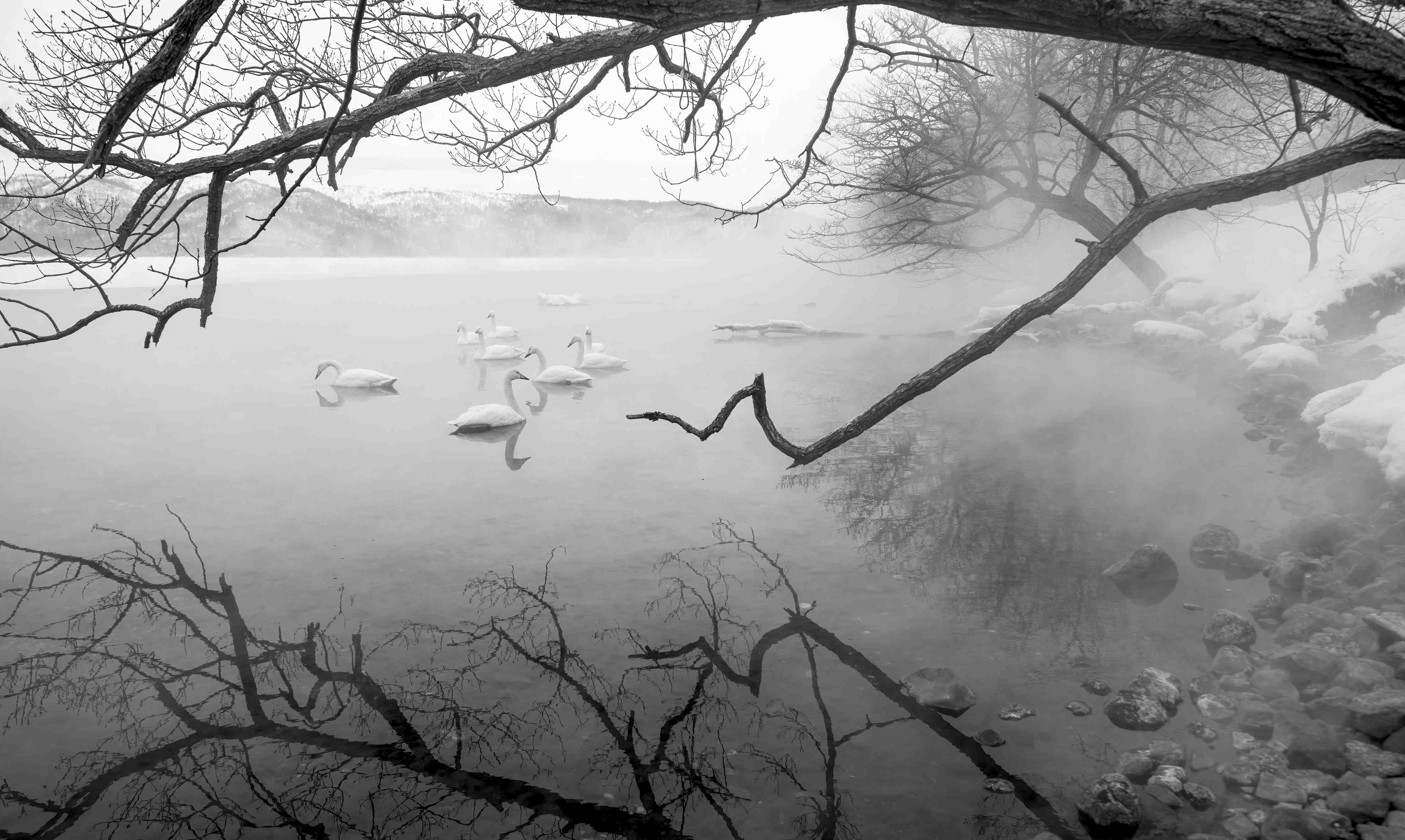 Wandverkleidung Flur-Nebelhafte Flusslandschaft in Schwarz-Weiß