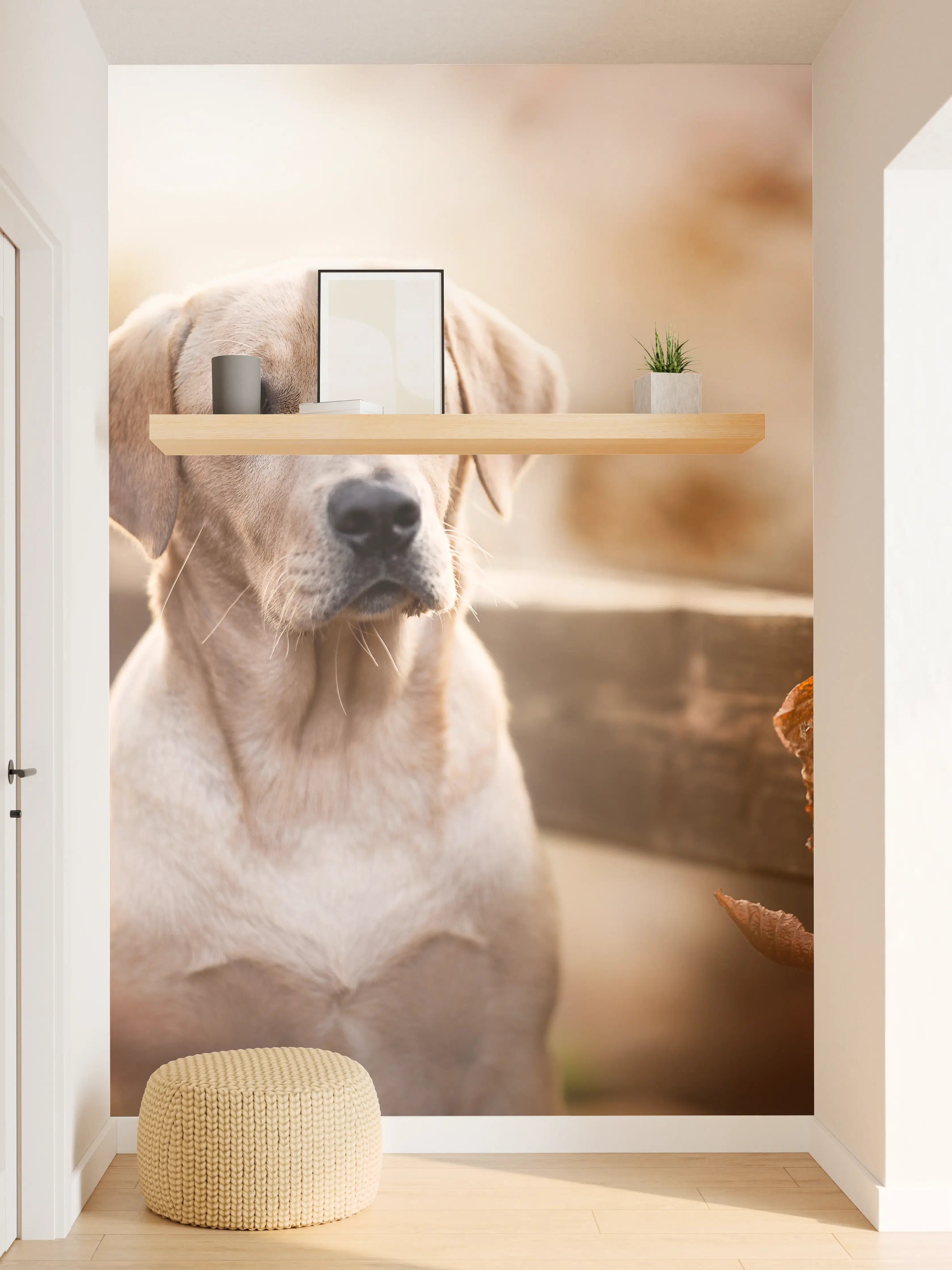 Wandverkleidung Flur - Niedlicher Labrador Welpe