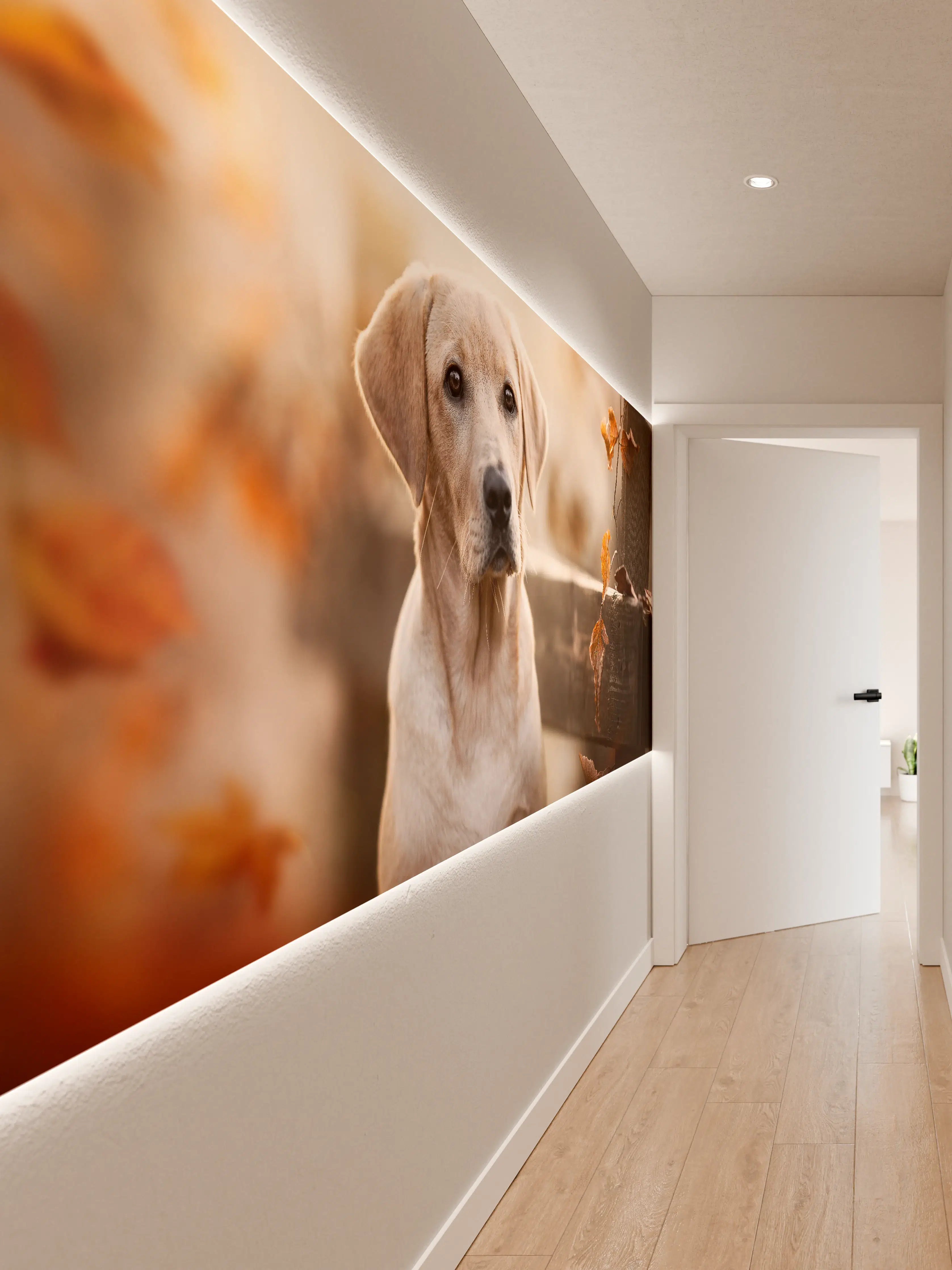 Wandverkleidung Flur - Niedlicher Labrador Welpe