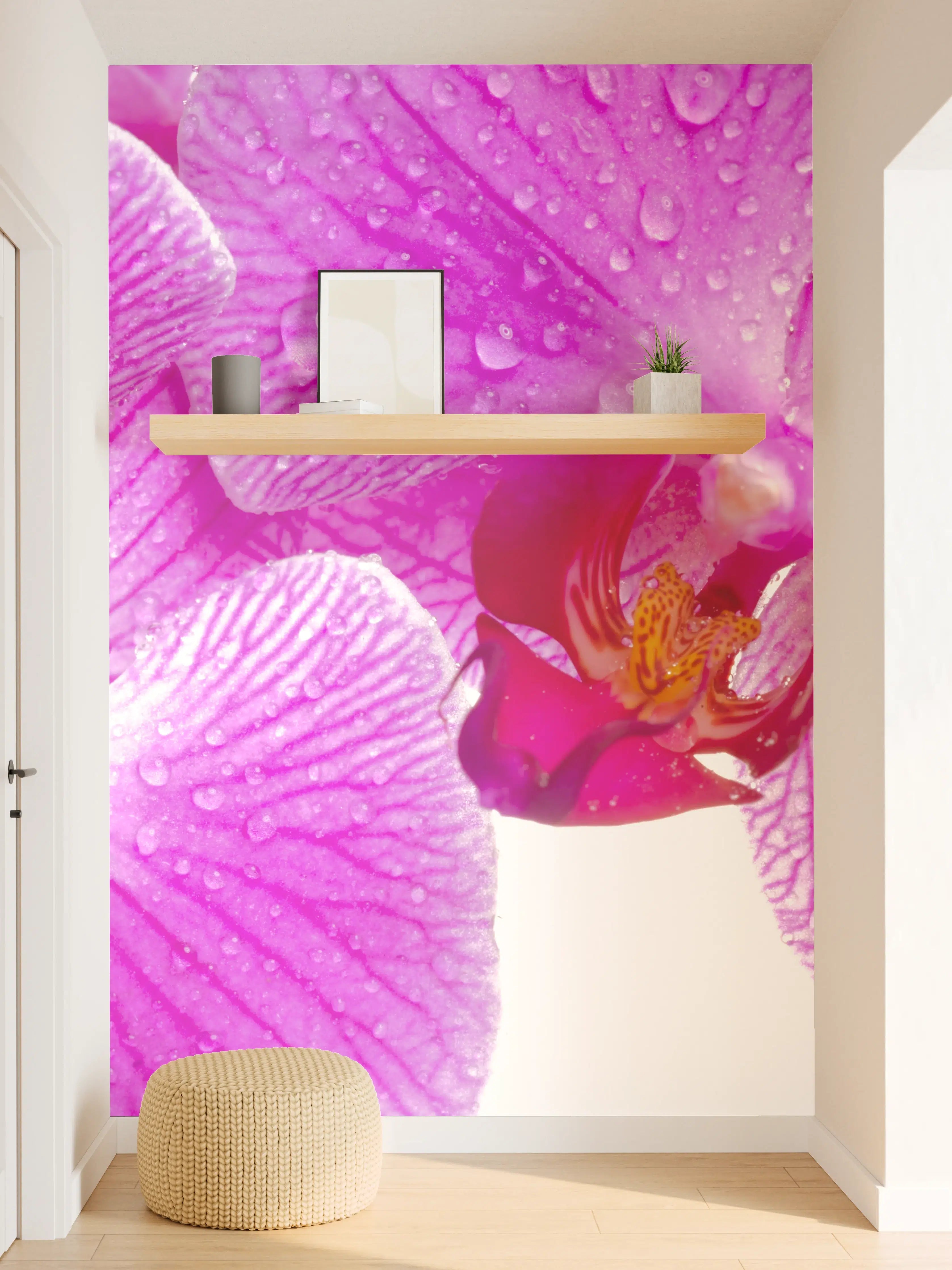 Wandverkleidung Flur - Pinke Orchideen