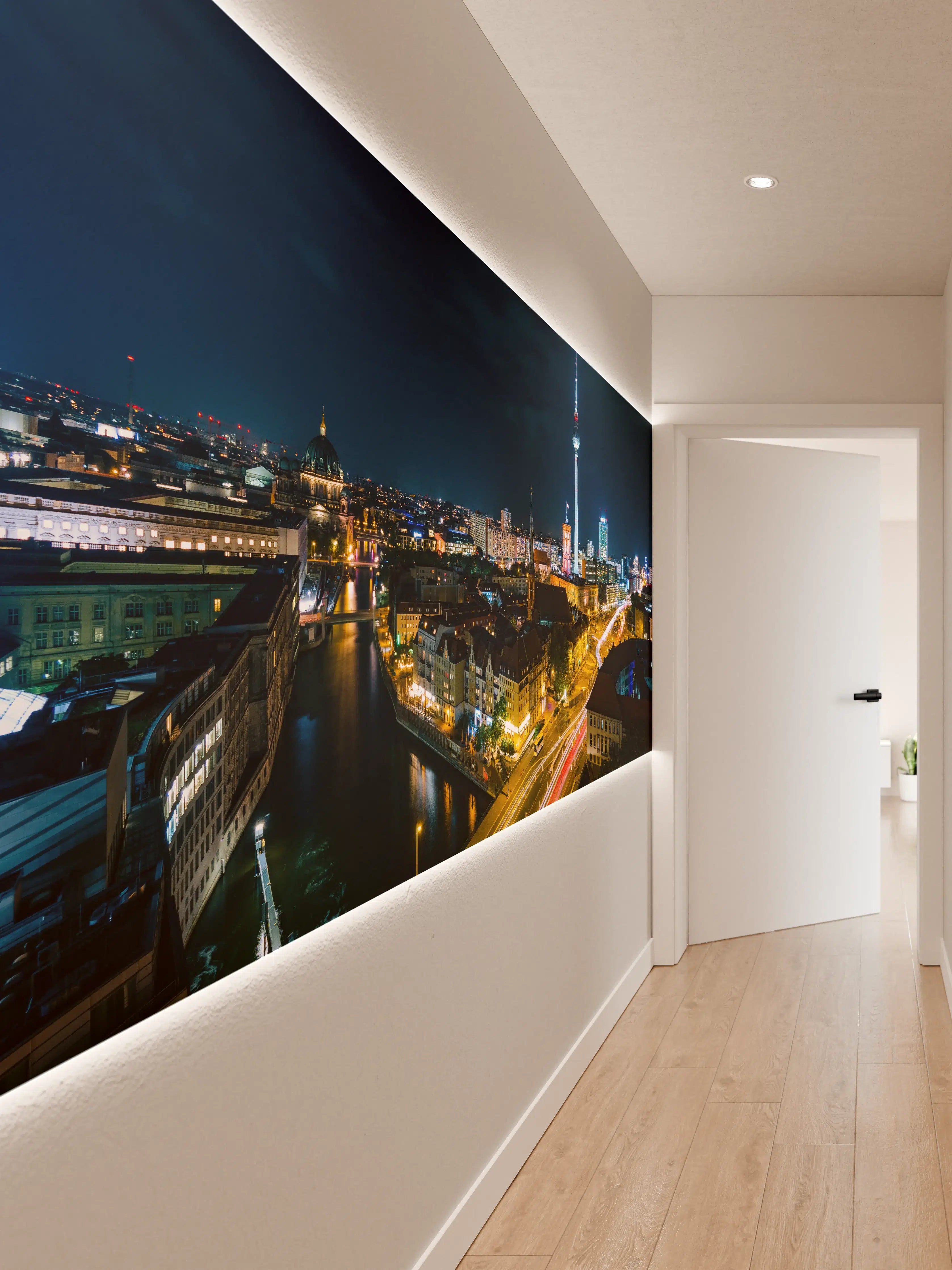 Wandverkleidung Flur - Pusteblume schwarz-weiß Hintergrund