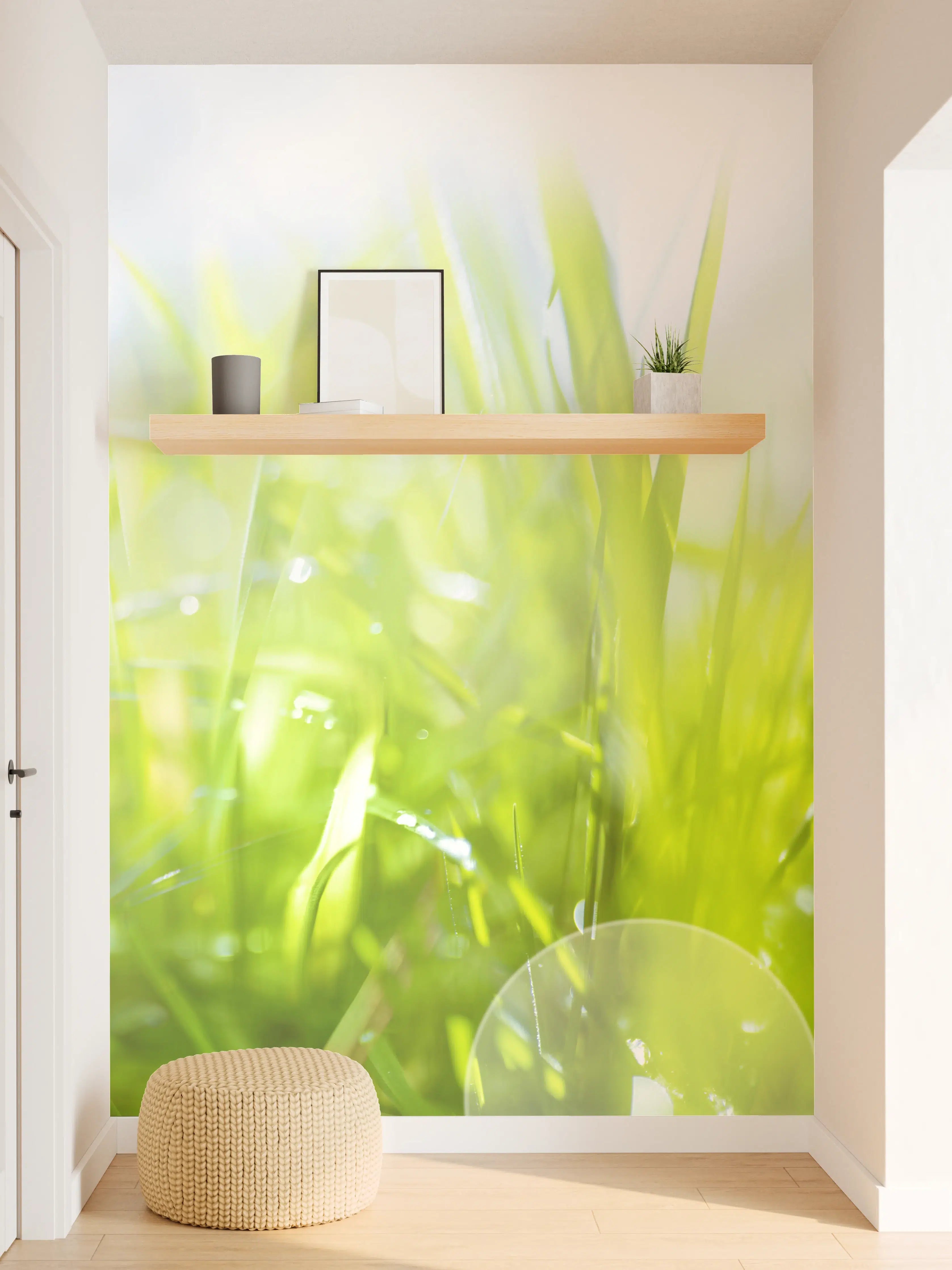 Wandverkleidung Flur - Pusteblumen auf grüner Wiese