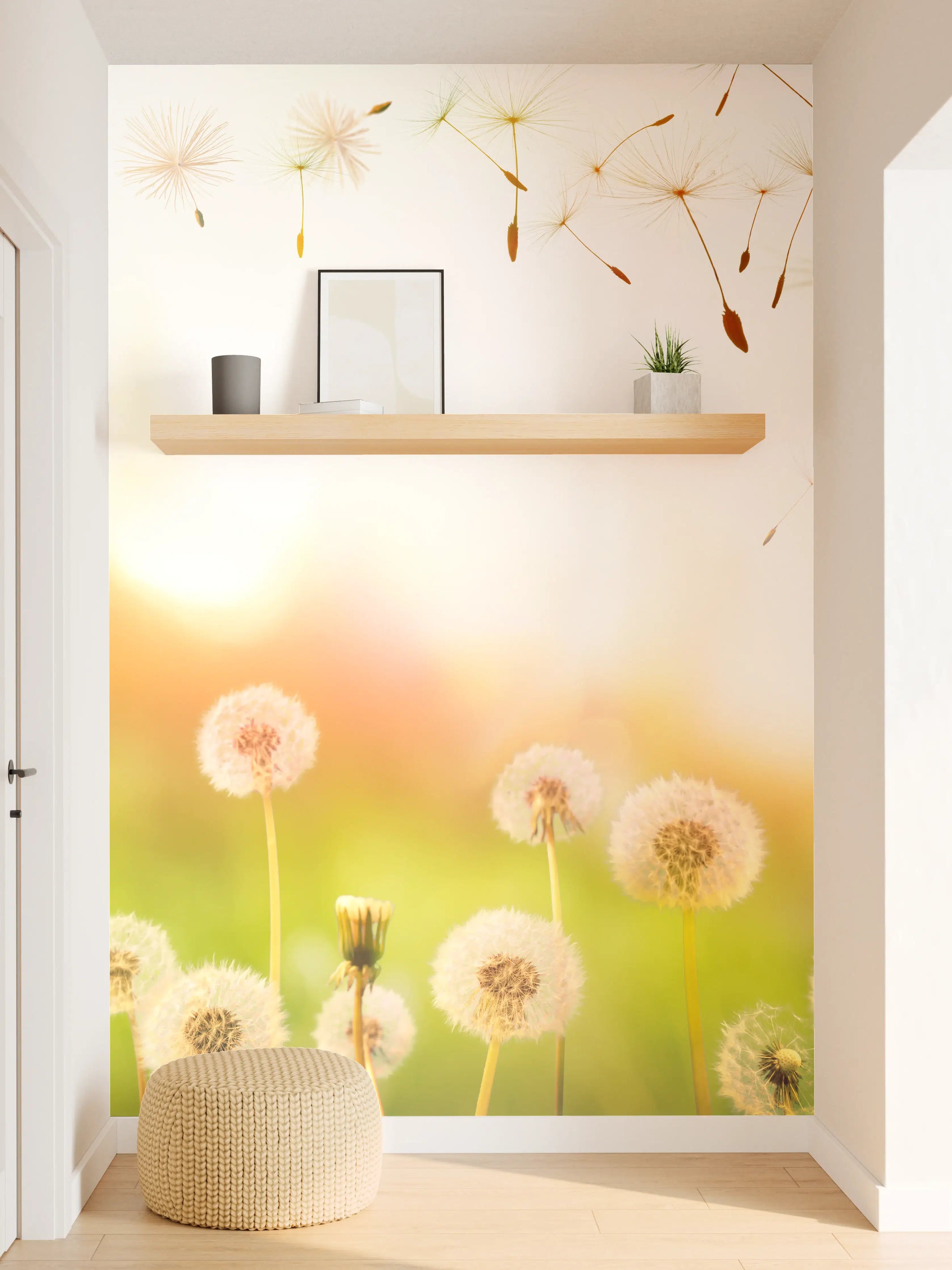 Wandverkleidung Flur - Pusteblumen im goldenen Licht