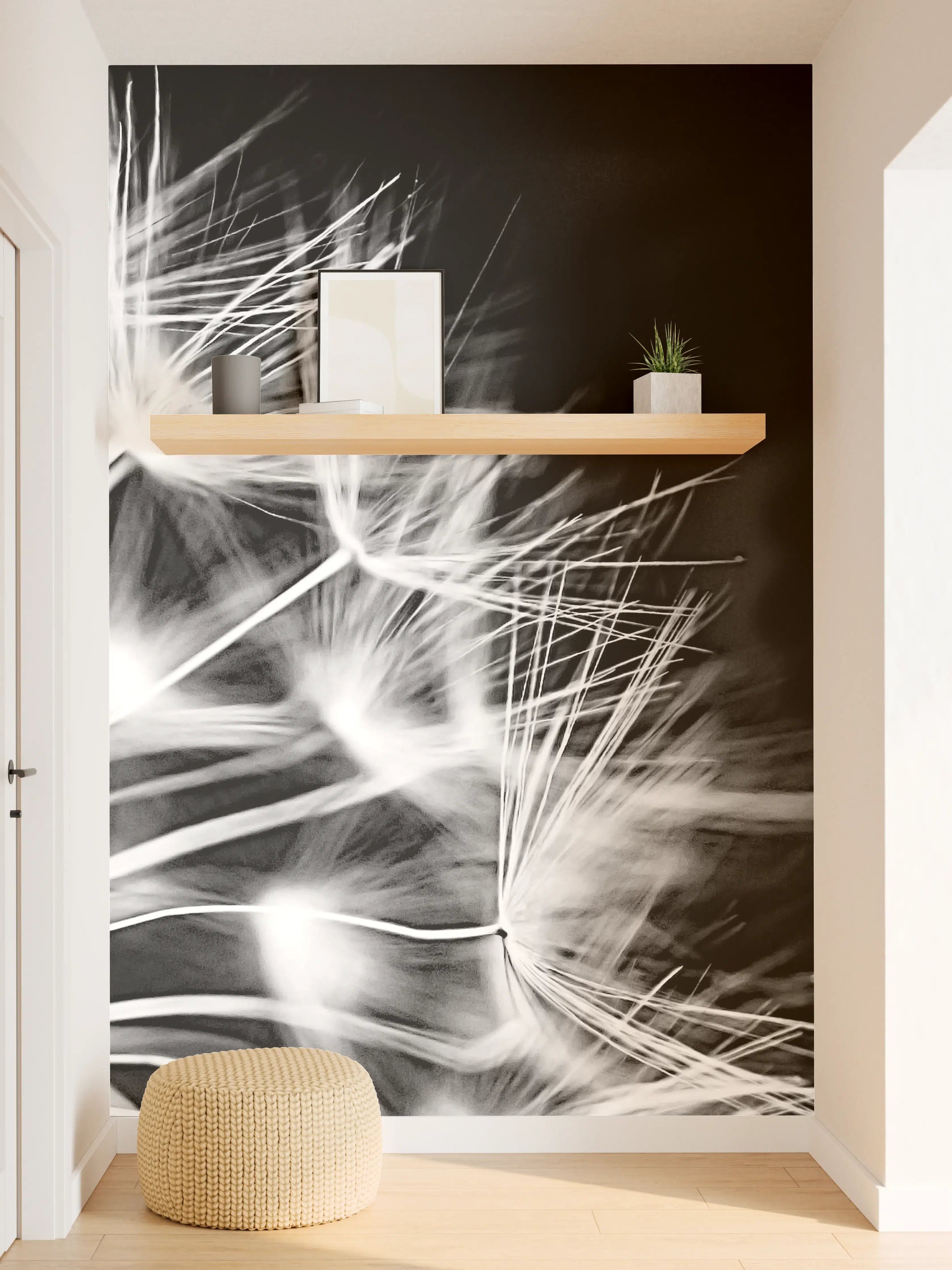 Wandverkleidung Flur - Pusteblumen schwarz-weiß Hintergrund