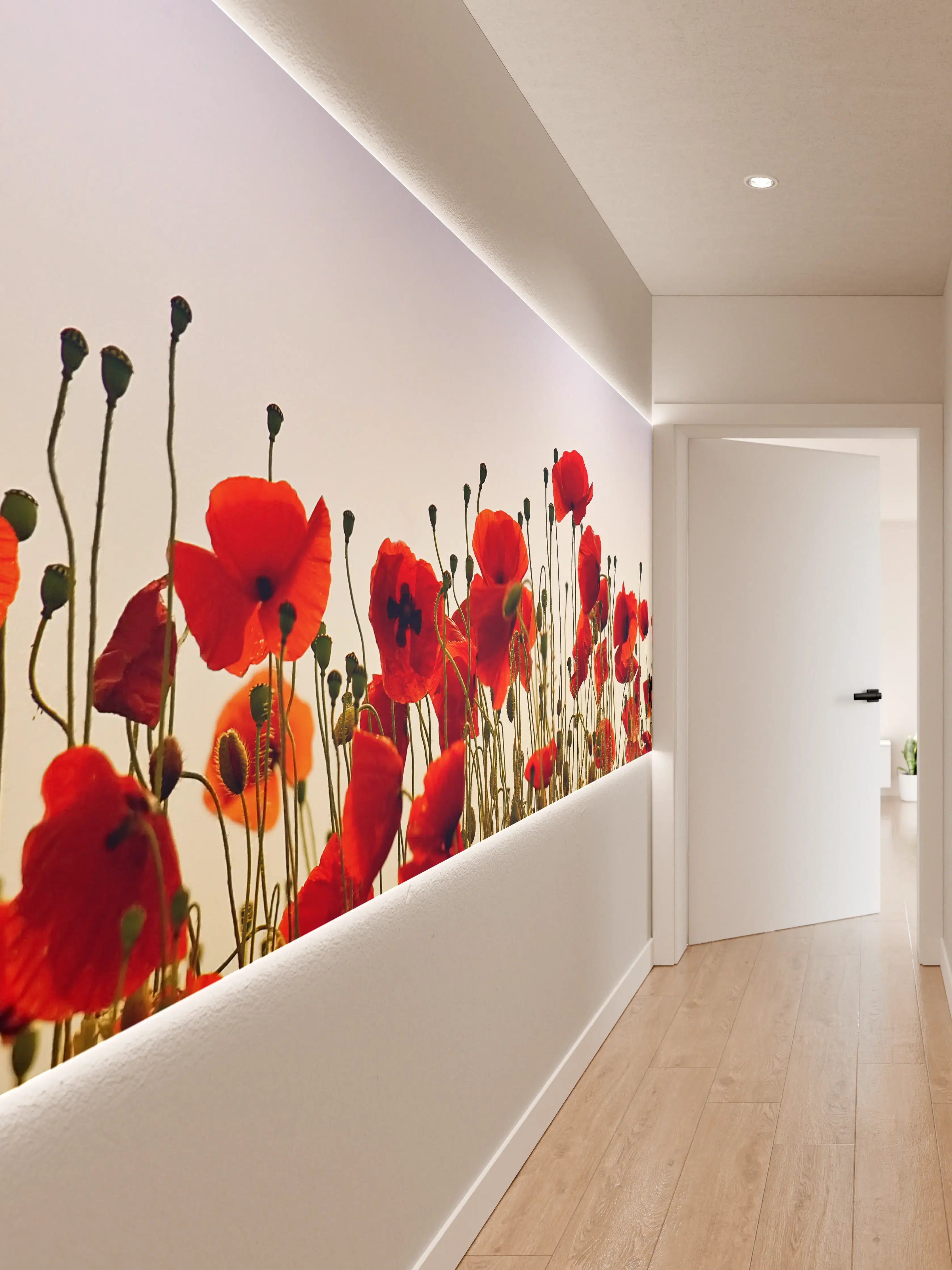 Wandverkleidung Flur - Rote Mohnblumen im Feld bei Sonnenaufgang