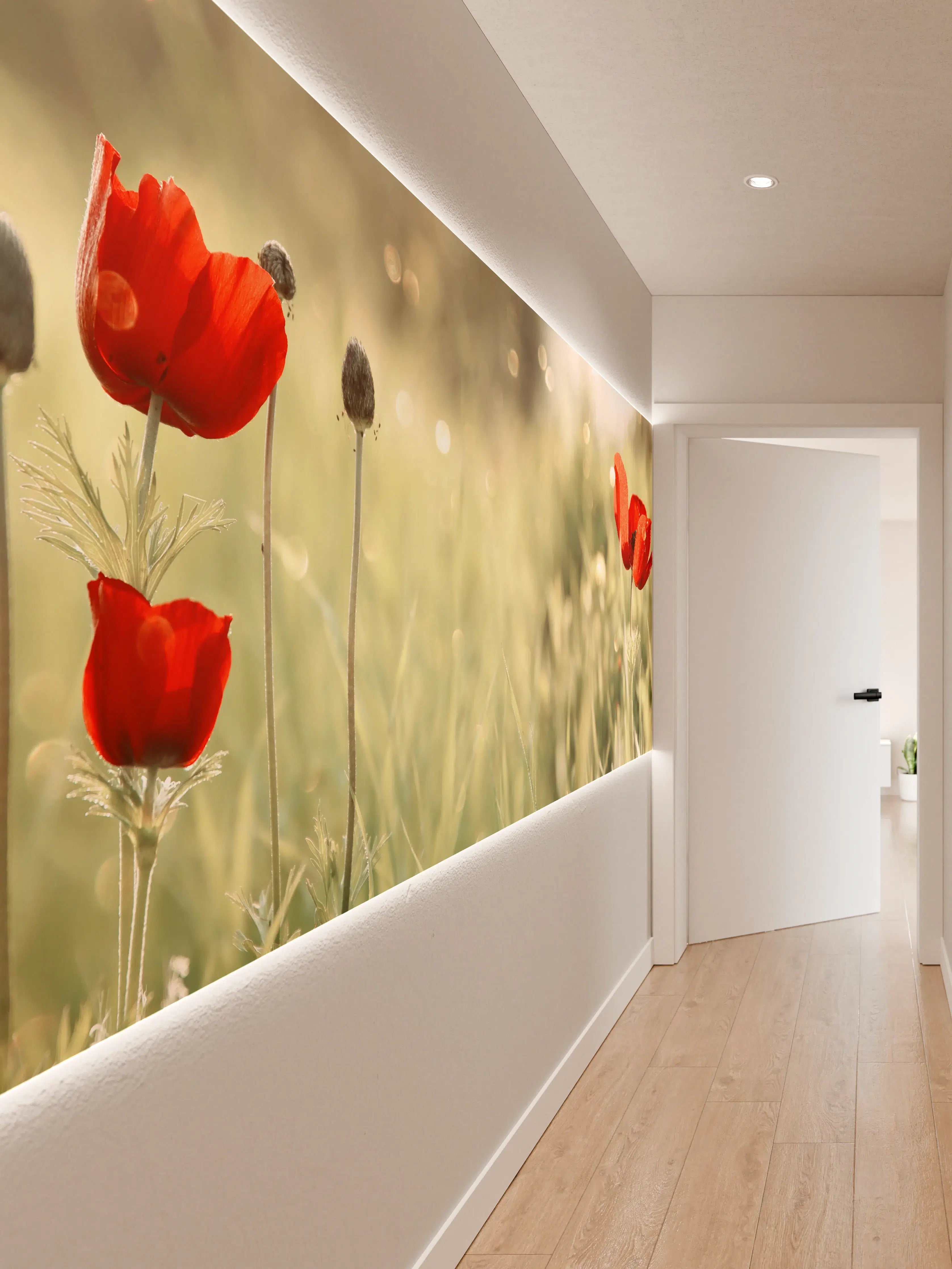 Wandverkleidung Flur - Roter Mohn auf Wiese