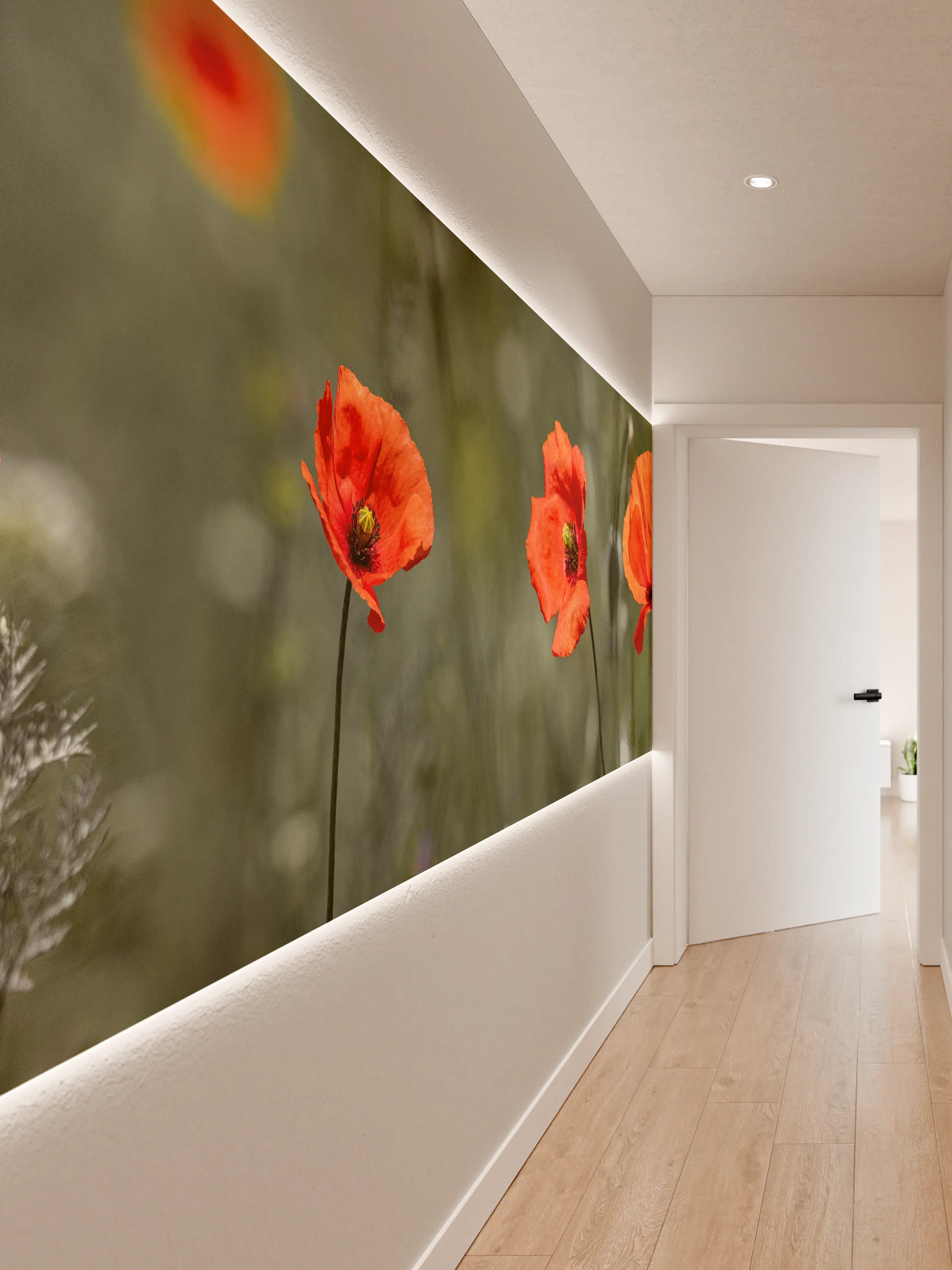 Wandverkleidung Flur - Roter Mohn inmitten des Grüns