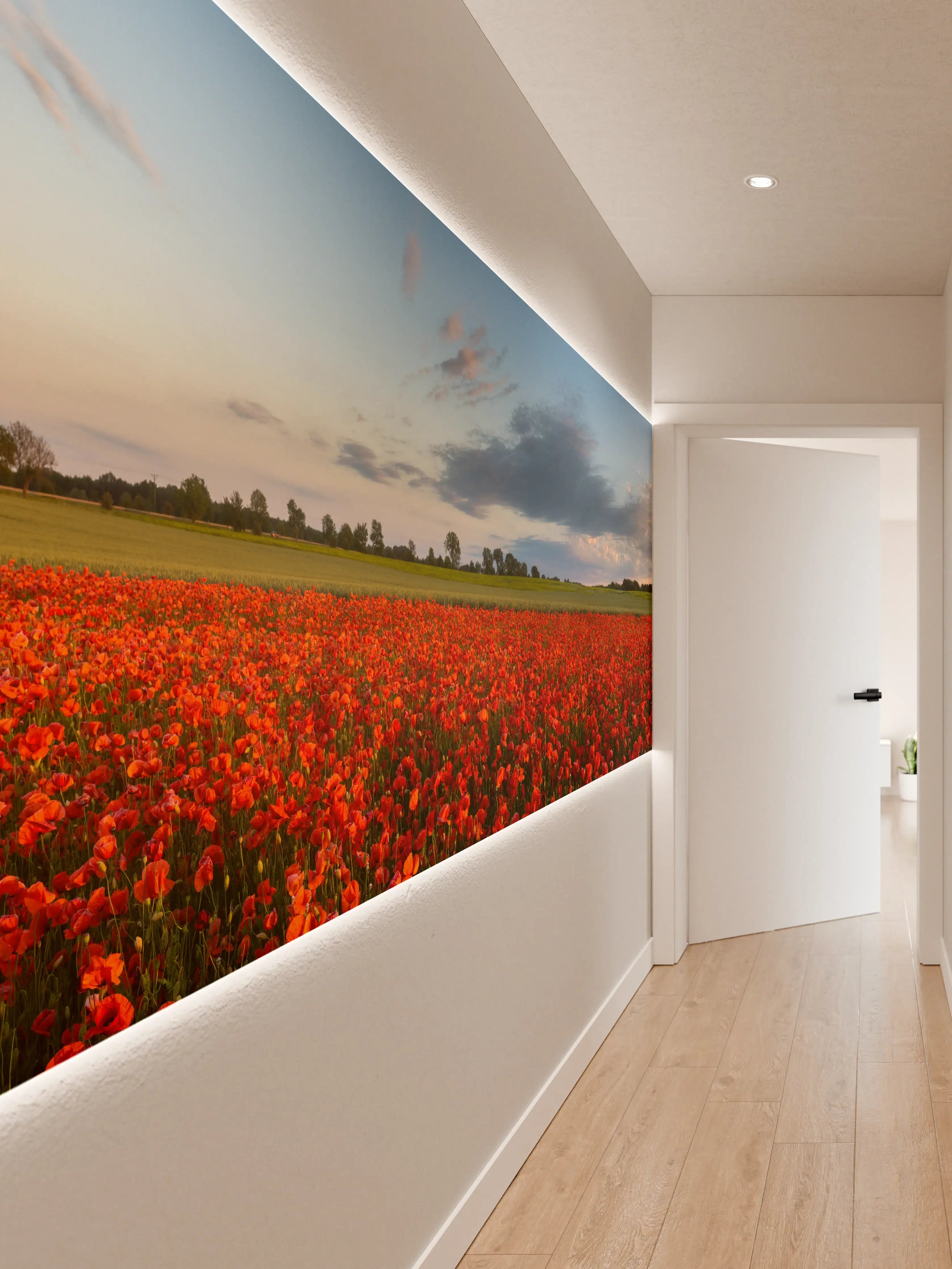 Wandverkleidung Flur - Rotes Mohnfeld unter blauem Himmel