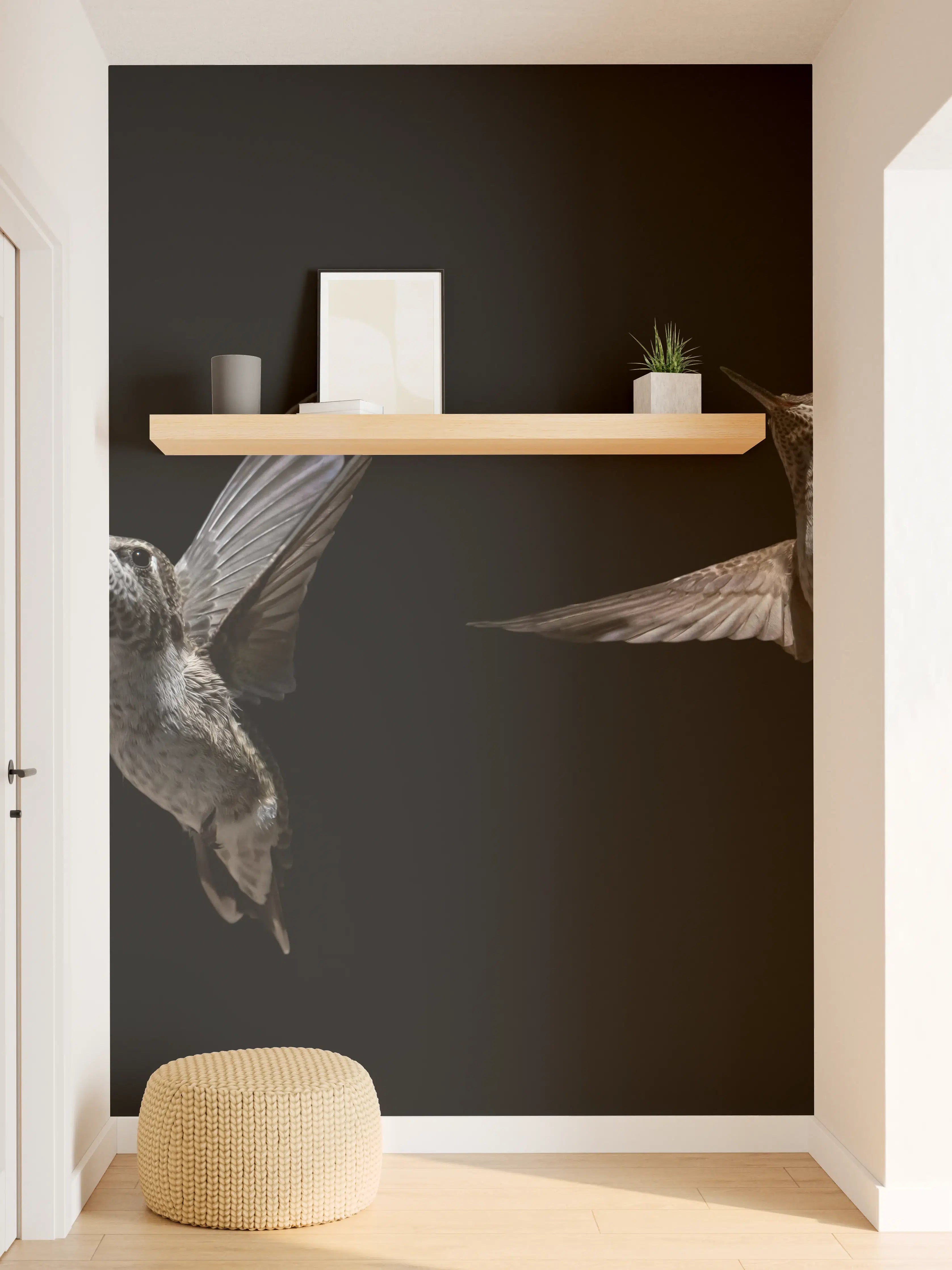 Wandverkleidung Flur - Schwarzkinnkolibri Vogel mit Schwarzem Hintergrund