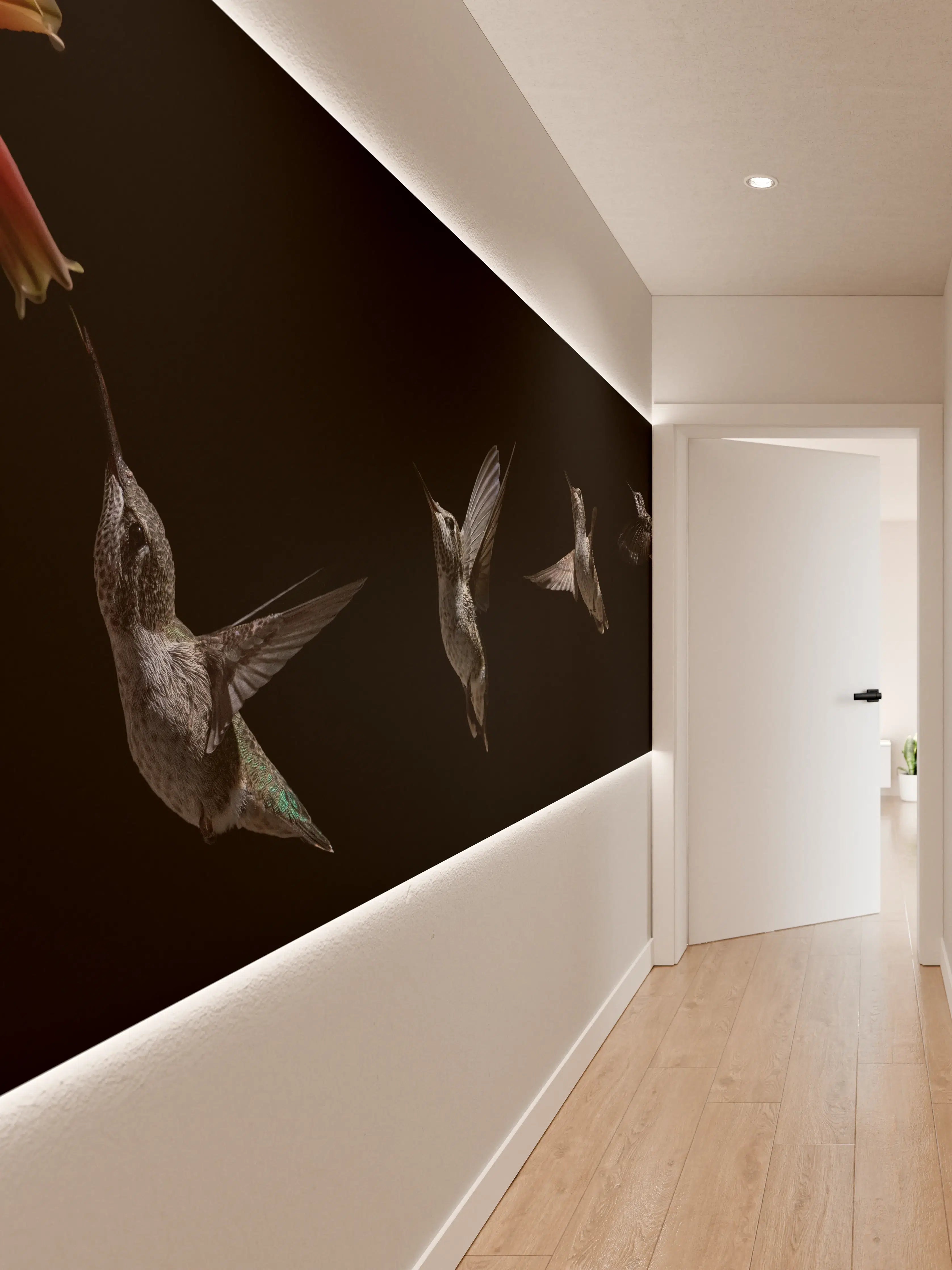 Wandverkleidung Flur - Schwarzkinnkolibri Vogel mit Schwarzem Hintergrund