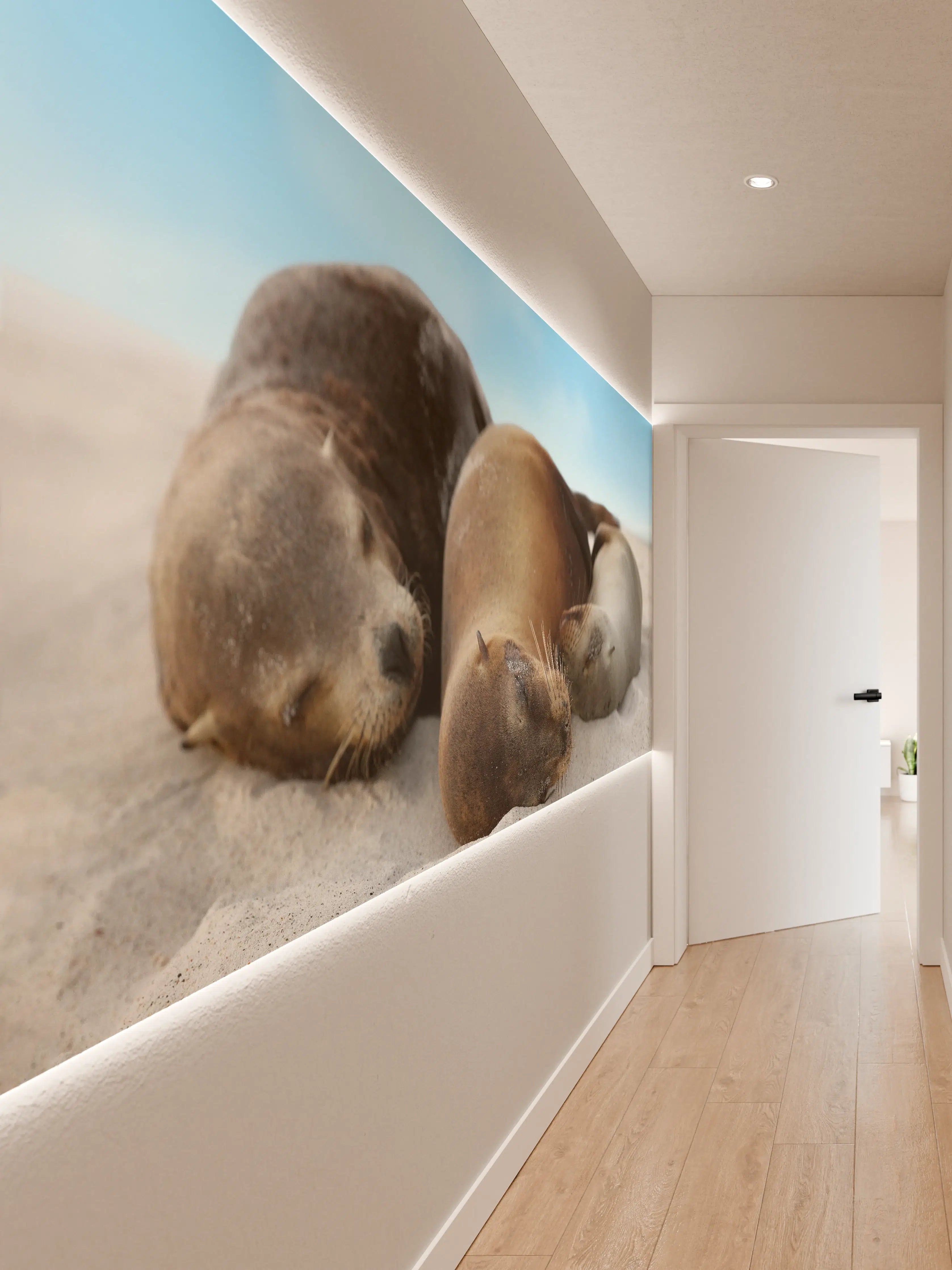 Wandverkleidung Flur - Seelöwen im Sand liegend