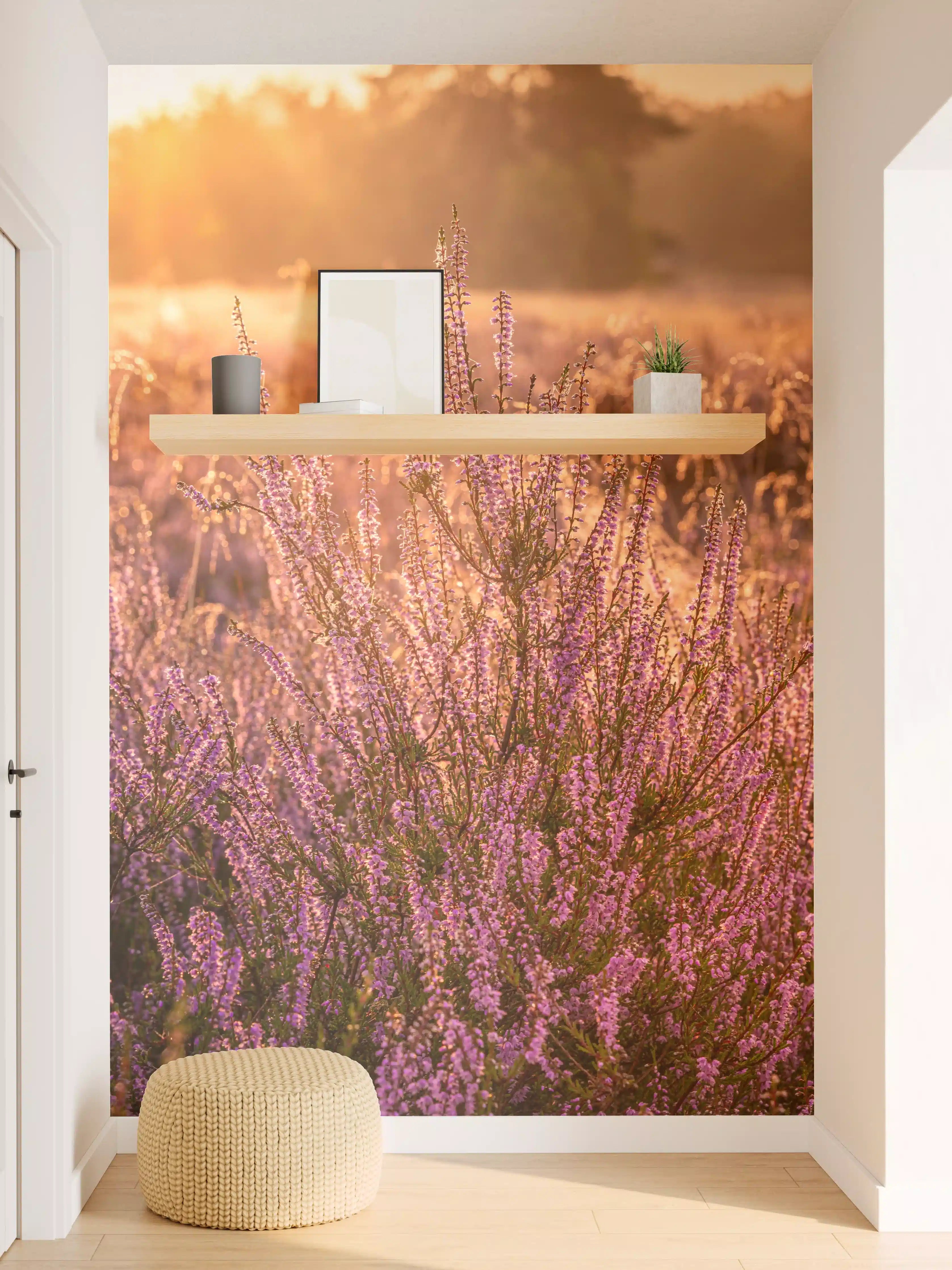 Wandverkleidung Flur - Sommerliche Blumenwiese bei Sonnenuntergang