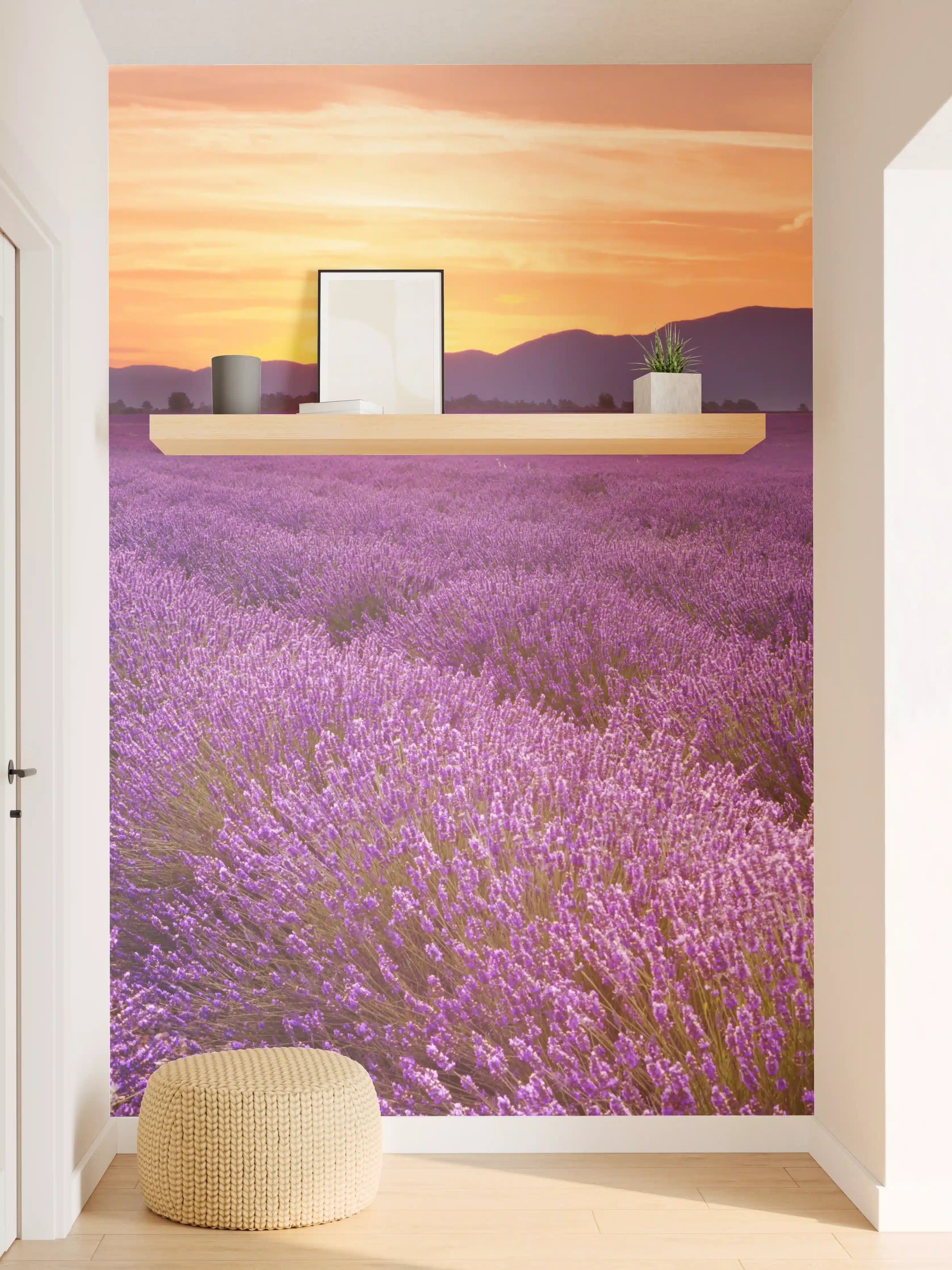 Wandverkleidung Flur - Sonnenaufgang über Lavendelfelder - Provence