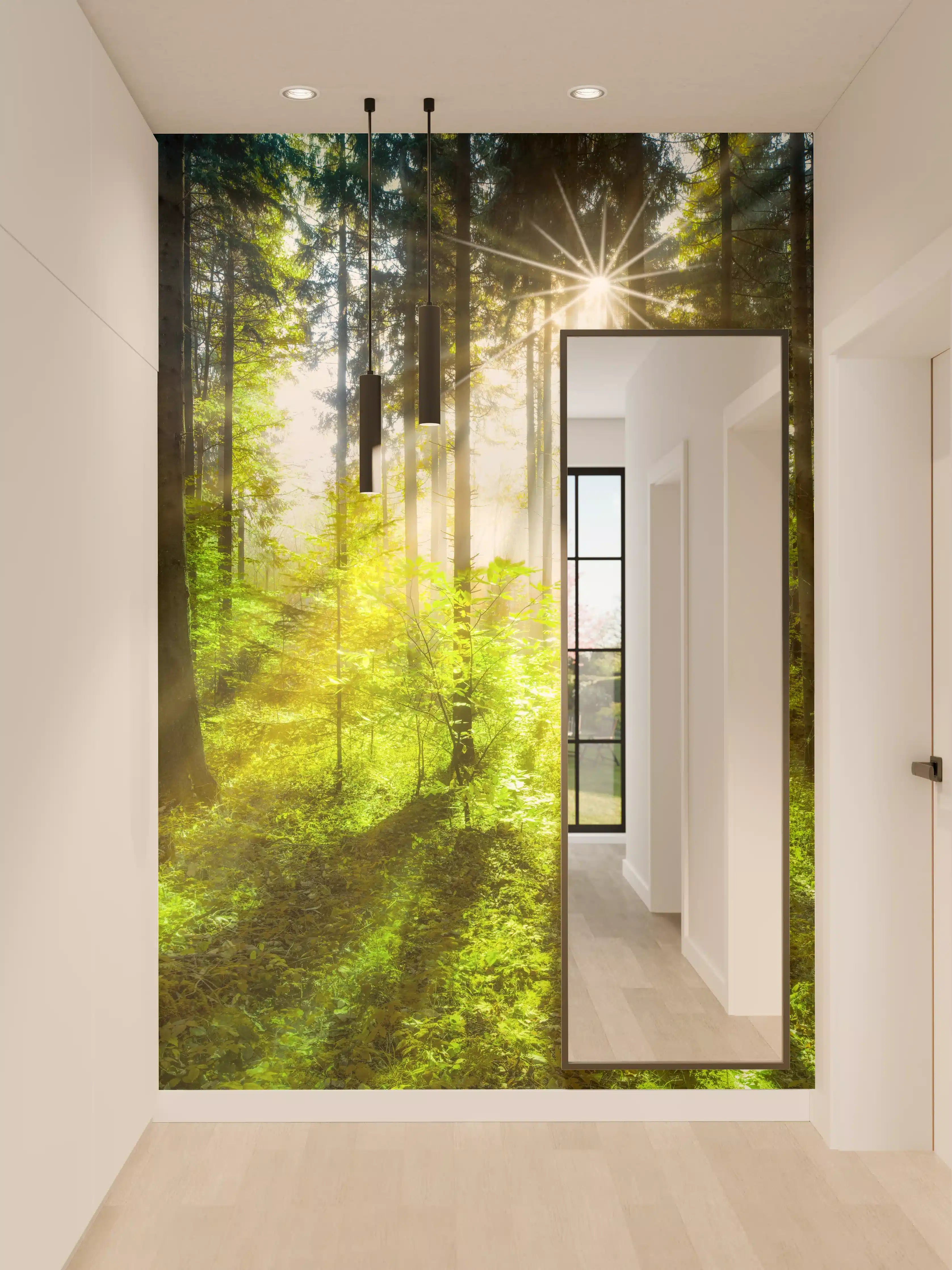 Wandverkleidung Flur - Sonnenstrahlen im lebendigem Wald 