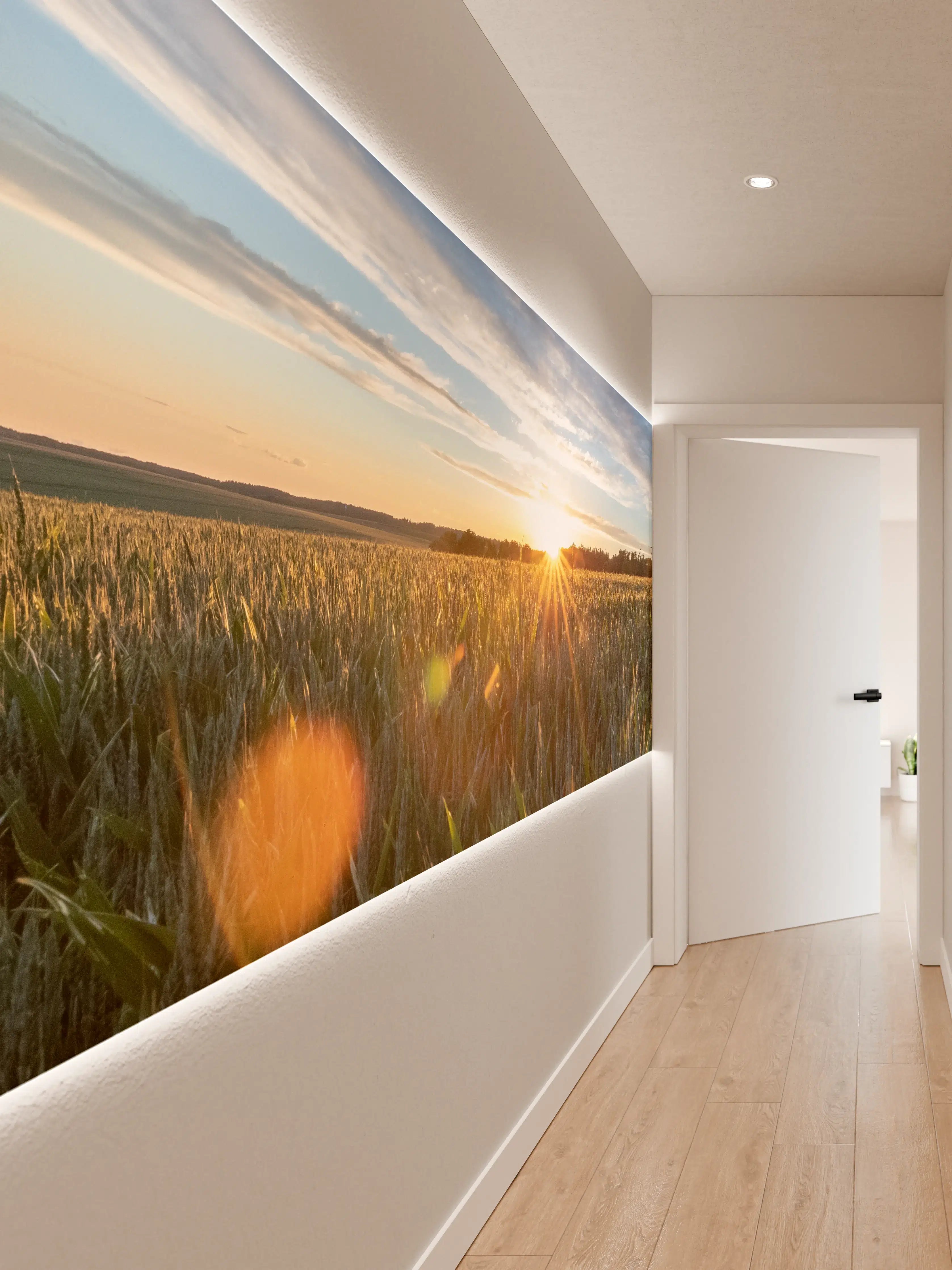 Wandverkleidung Flur - Sonnenuntergang über einem Kornfeld