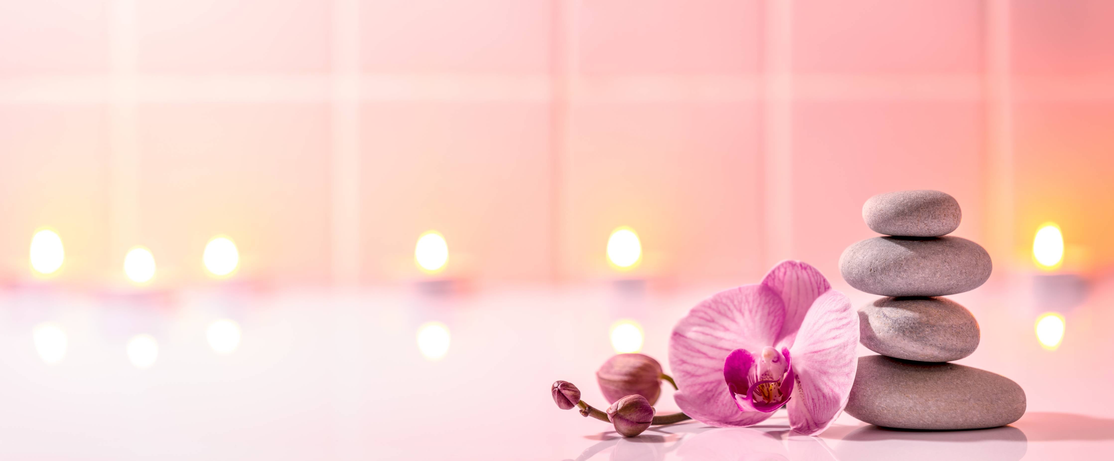 Wandverkleidung Flur-Spa-Stillleben