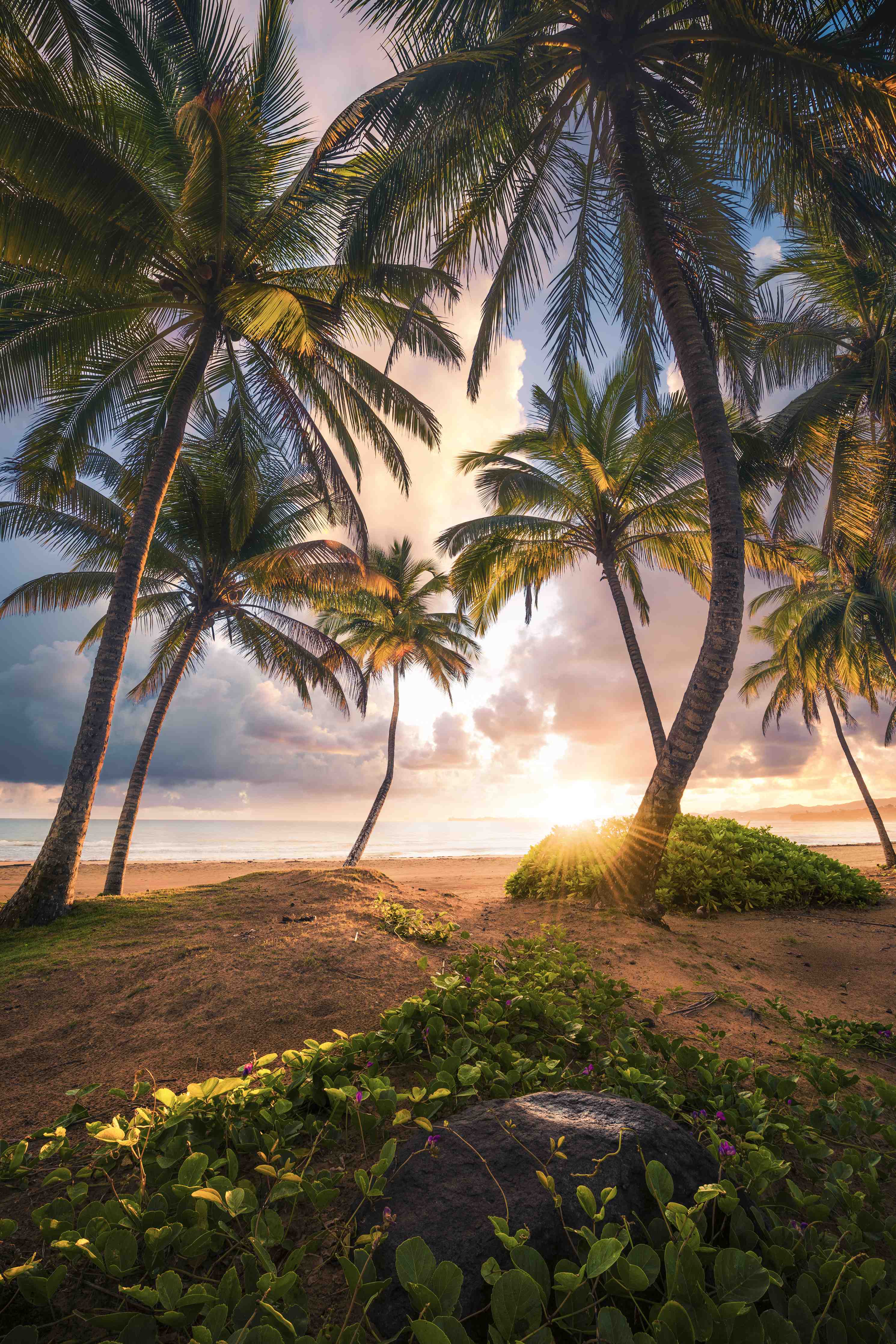Wandverkleidung Flur-Traumhafter Sonnenuntergang am Strand mit Palmen