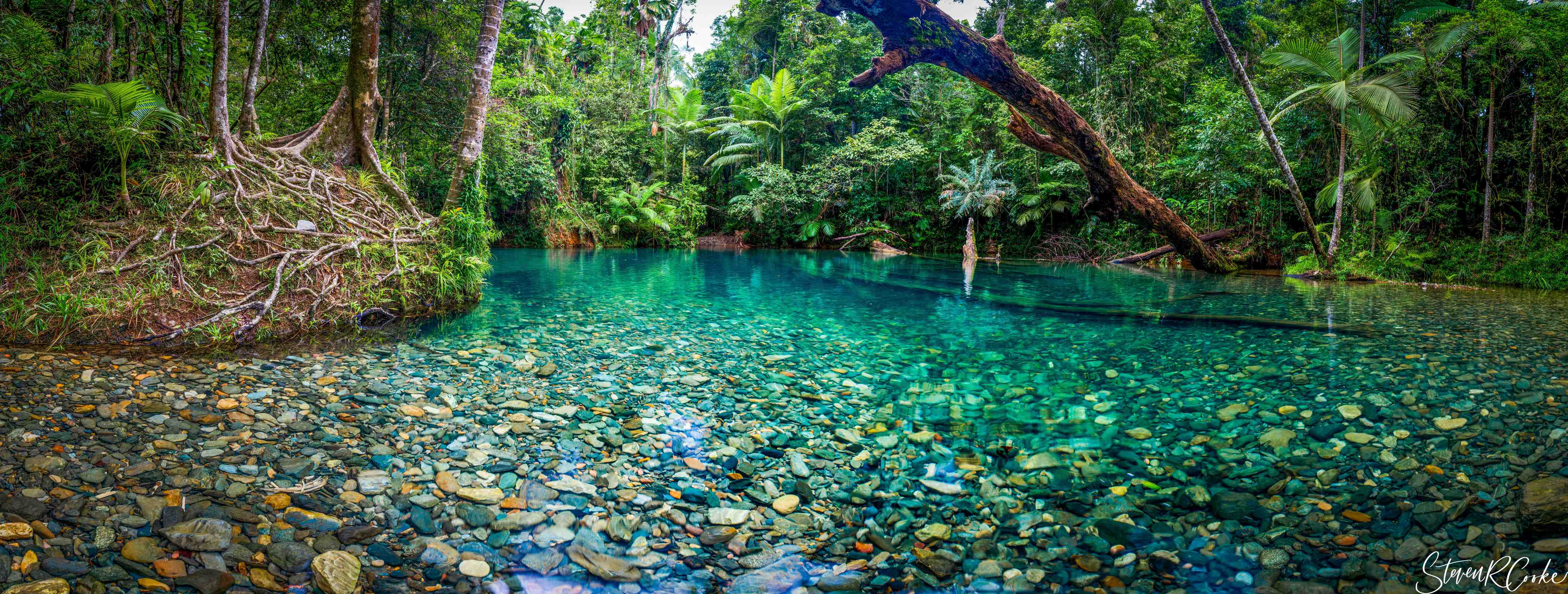 Wandverkleidung Flur-Tropischer Bach mit klarem Wasser