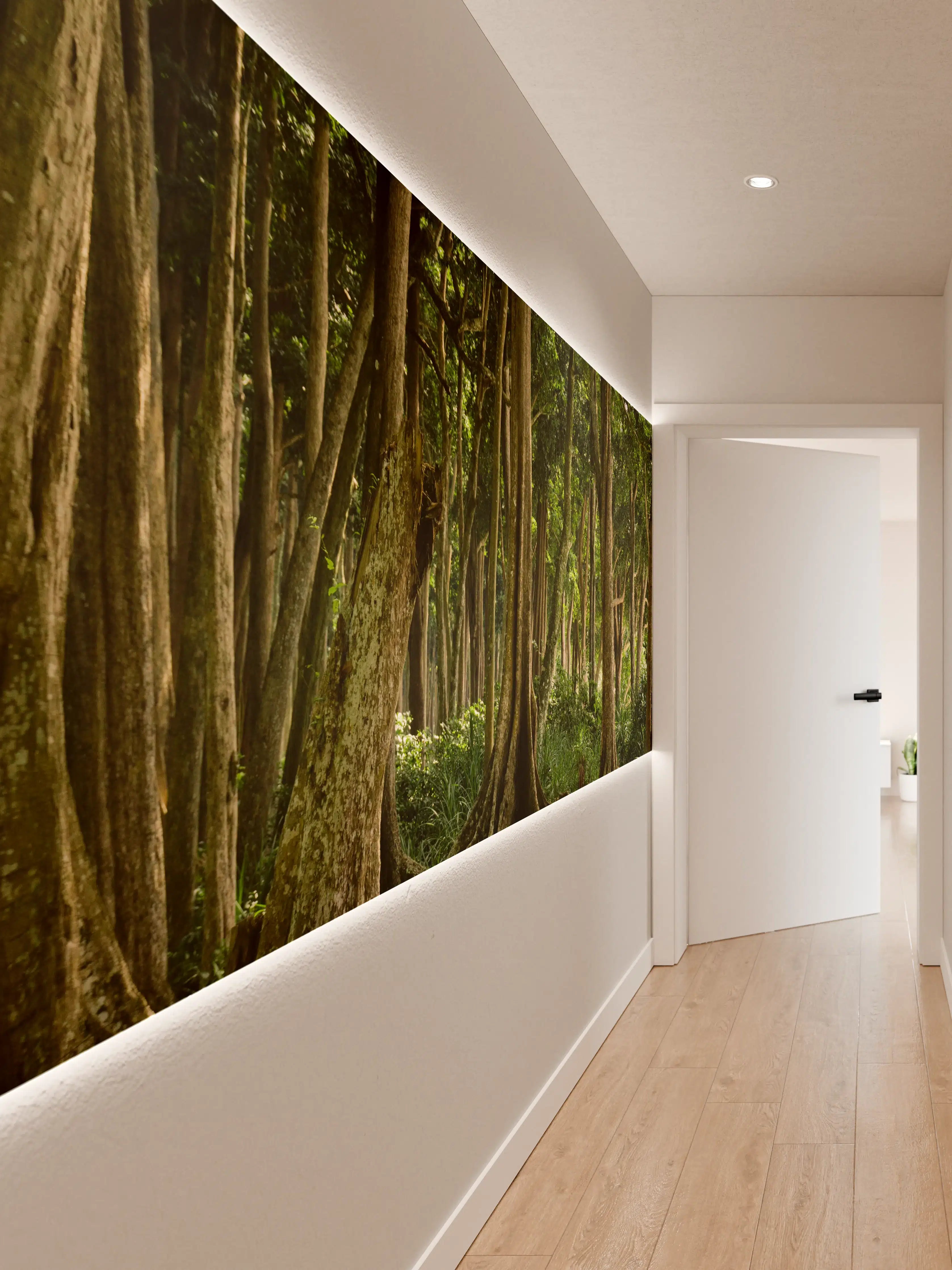 Wandverkleidung Flur - Tropischer Wald auf der Insel Havelock
