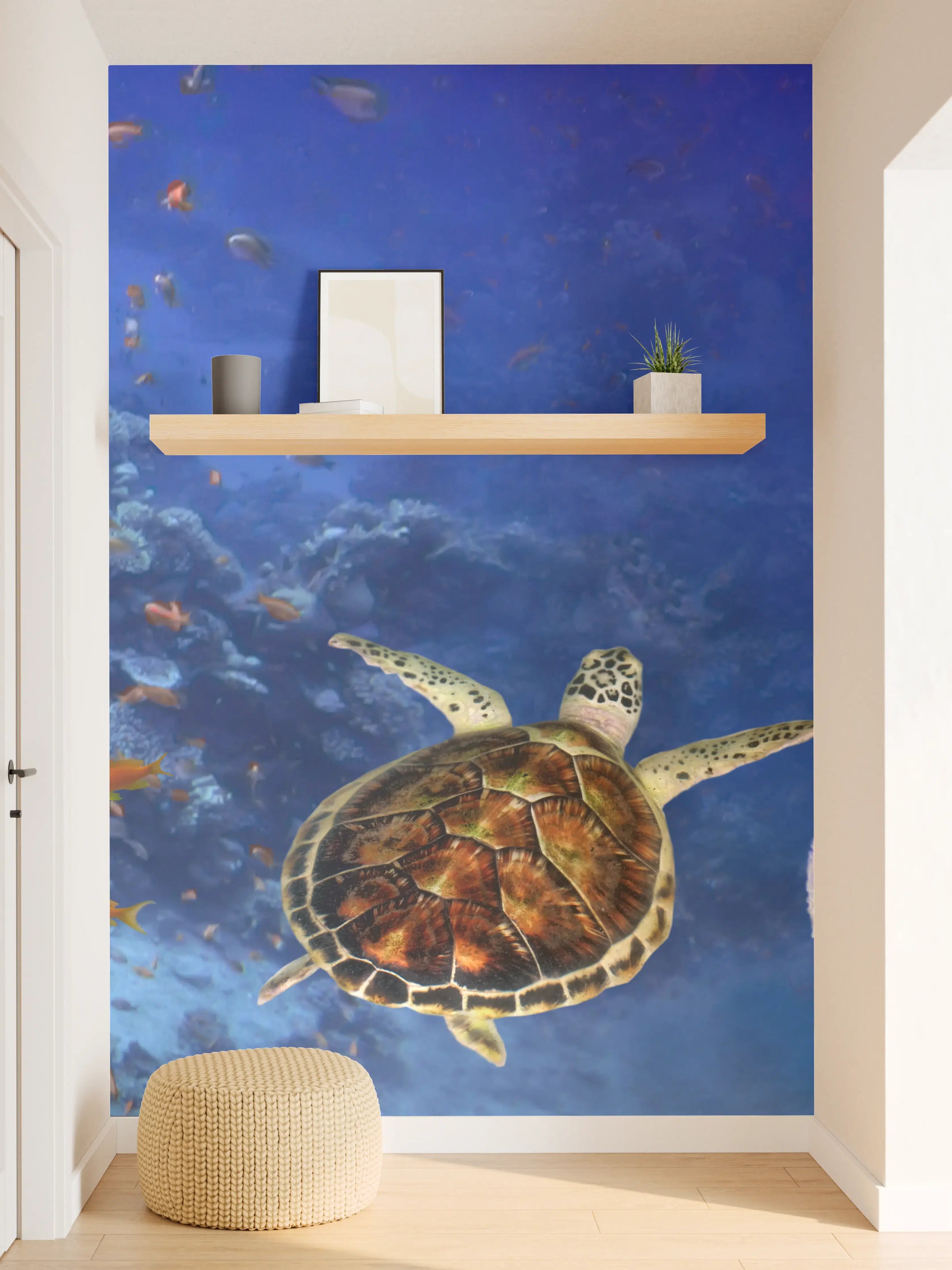 Wandverkleidung Flur - Unterwasser-Panorama mit Schildkröte