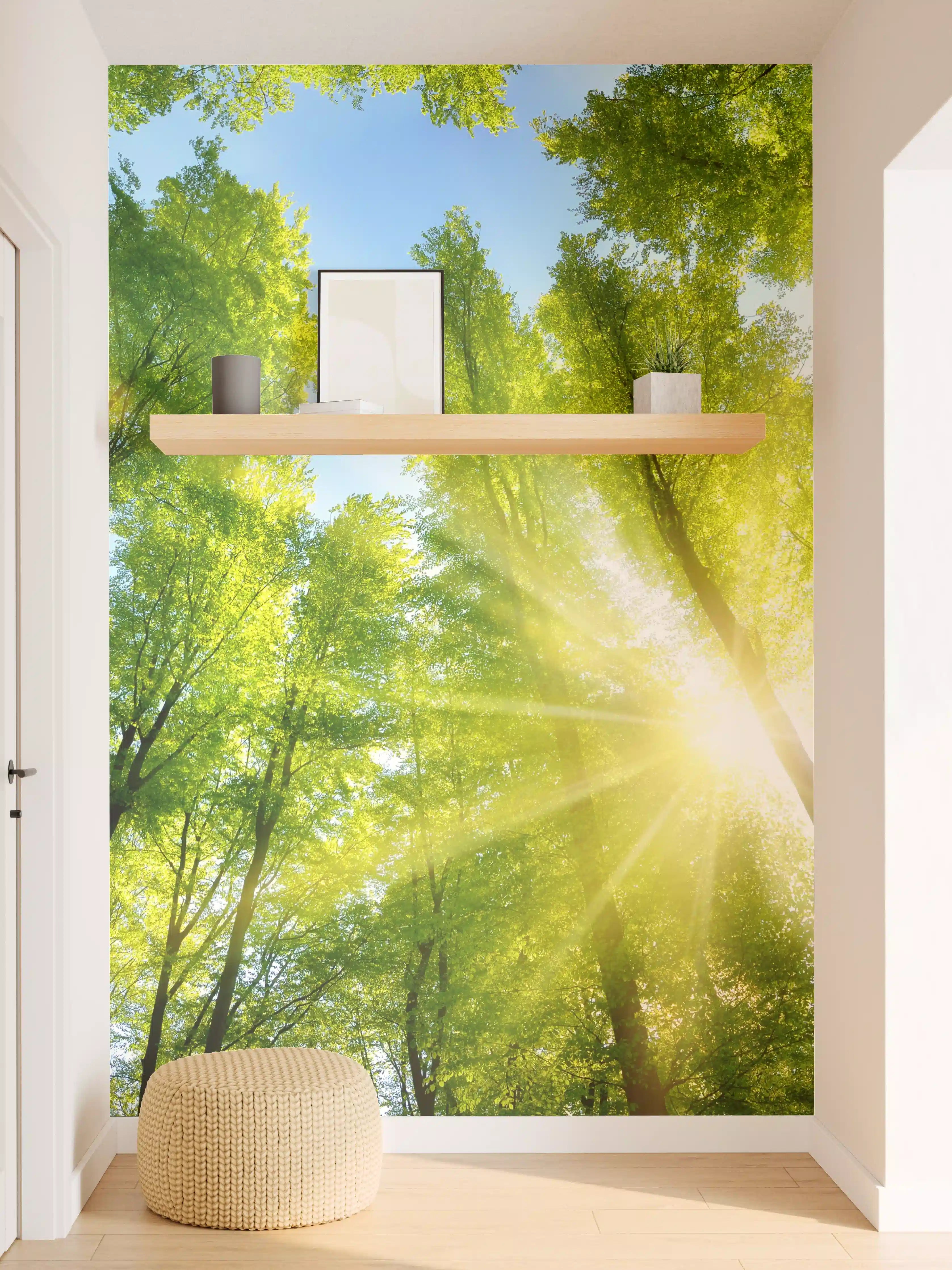 Wandverkleidung Flur - Verschlungene Baumkronen im Sonnenlicht