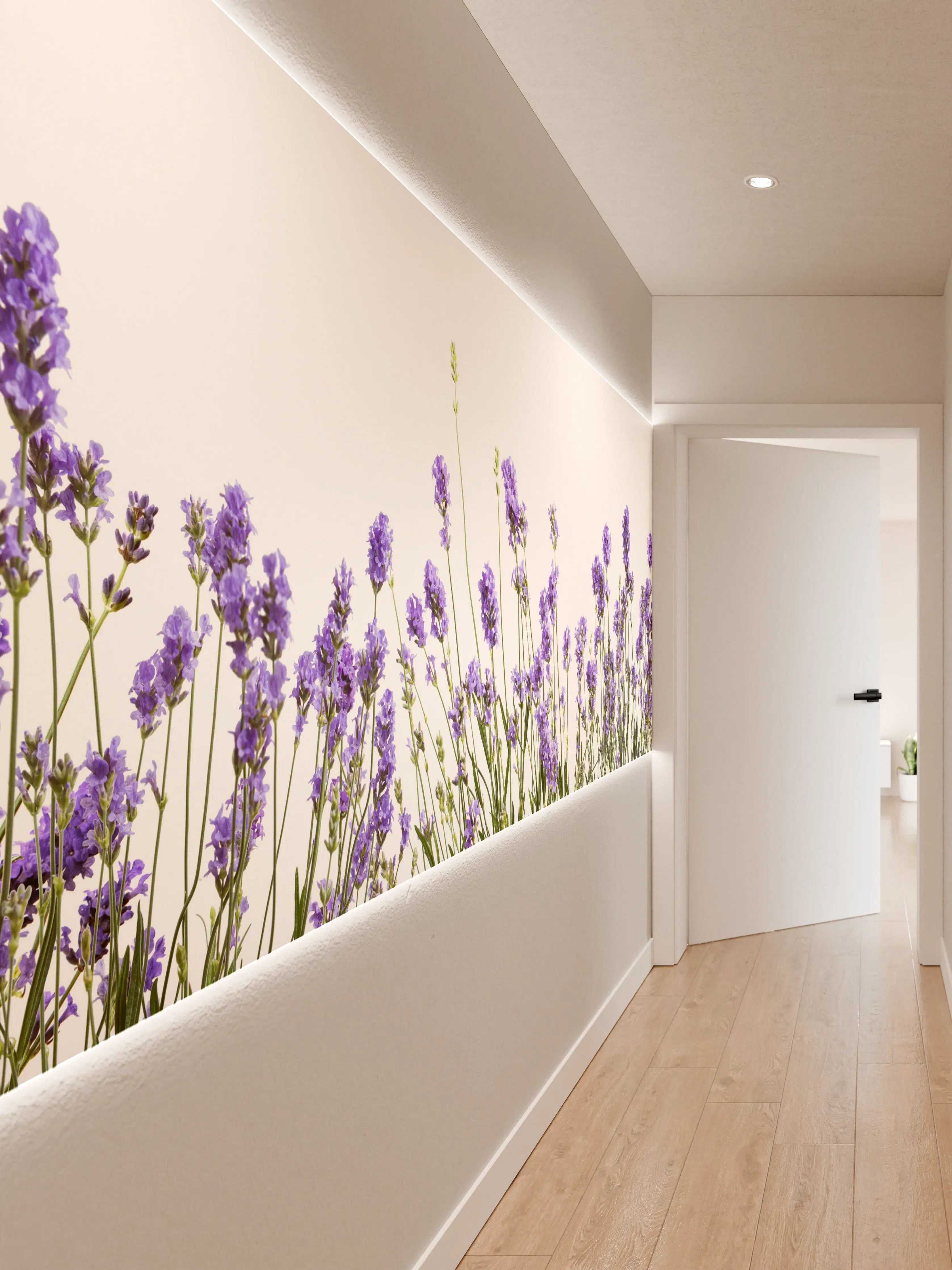 Wandverkleidung Flur - Violette Lavendelblüten im Sonnenlicht