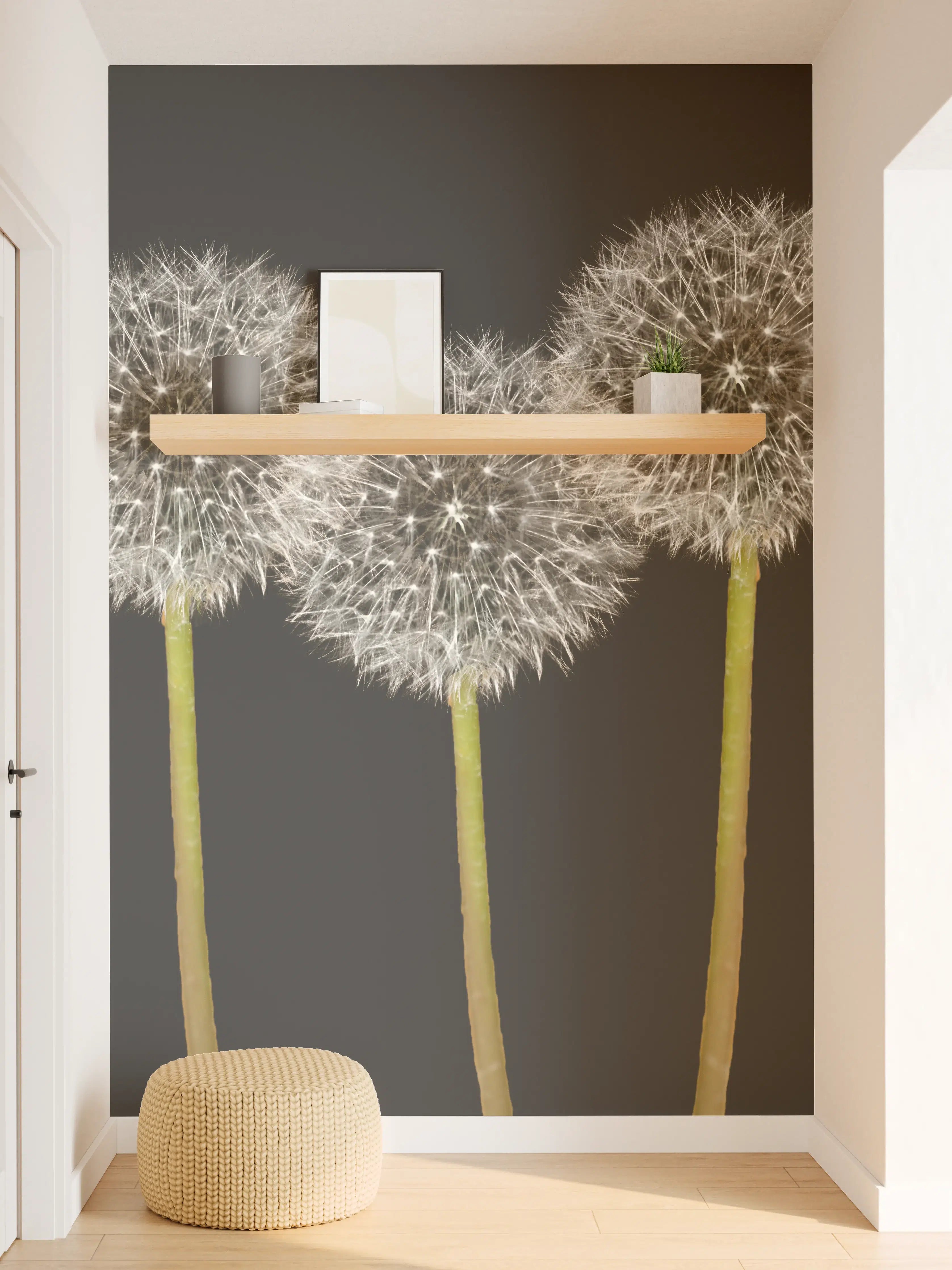 Wandverkleidung Flur - Weiße Pusteblumen auf Schwarz