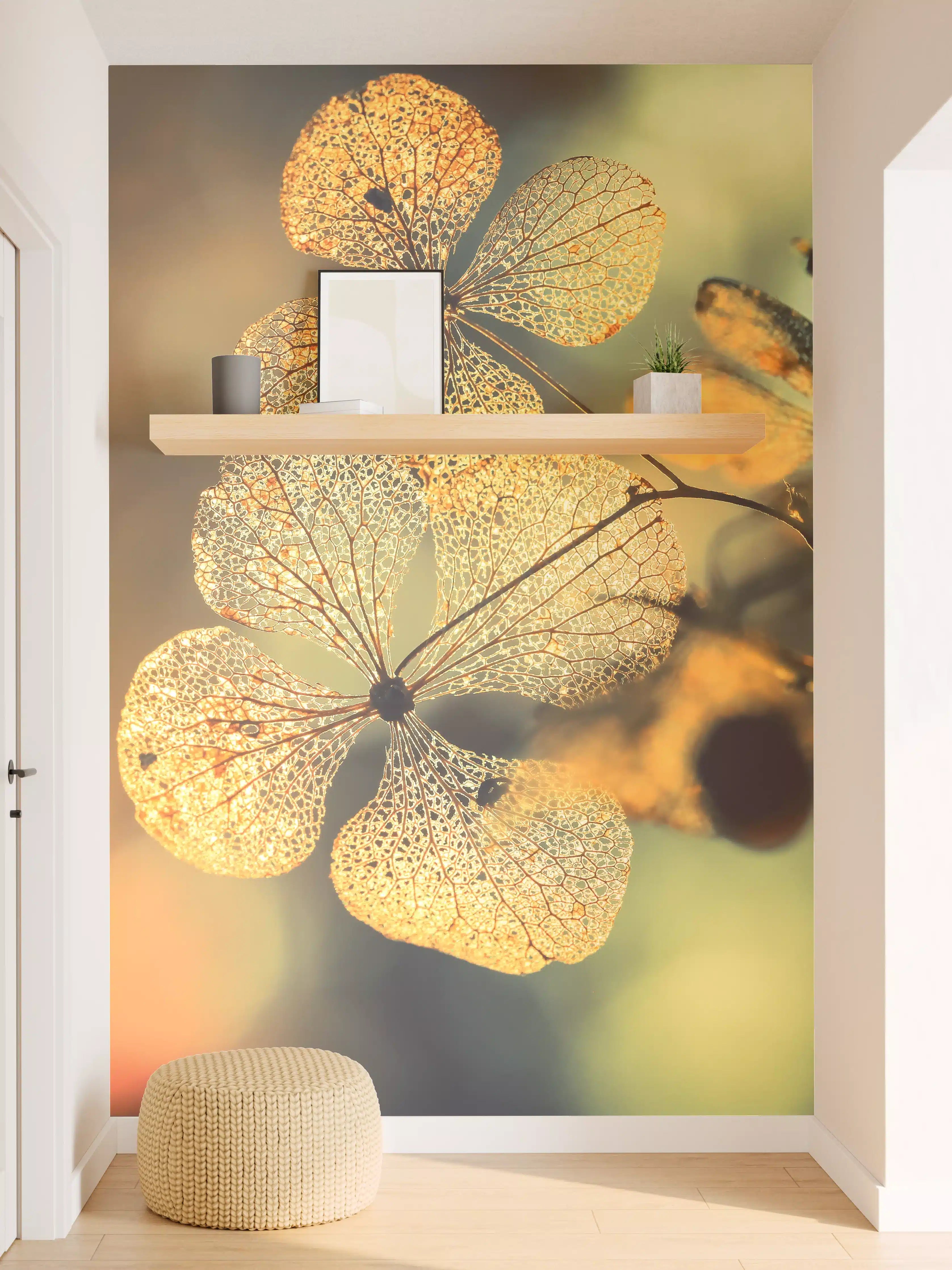 Wandverkleidung Flur - Zarte Hortensien im Sonnenlicht