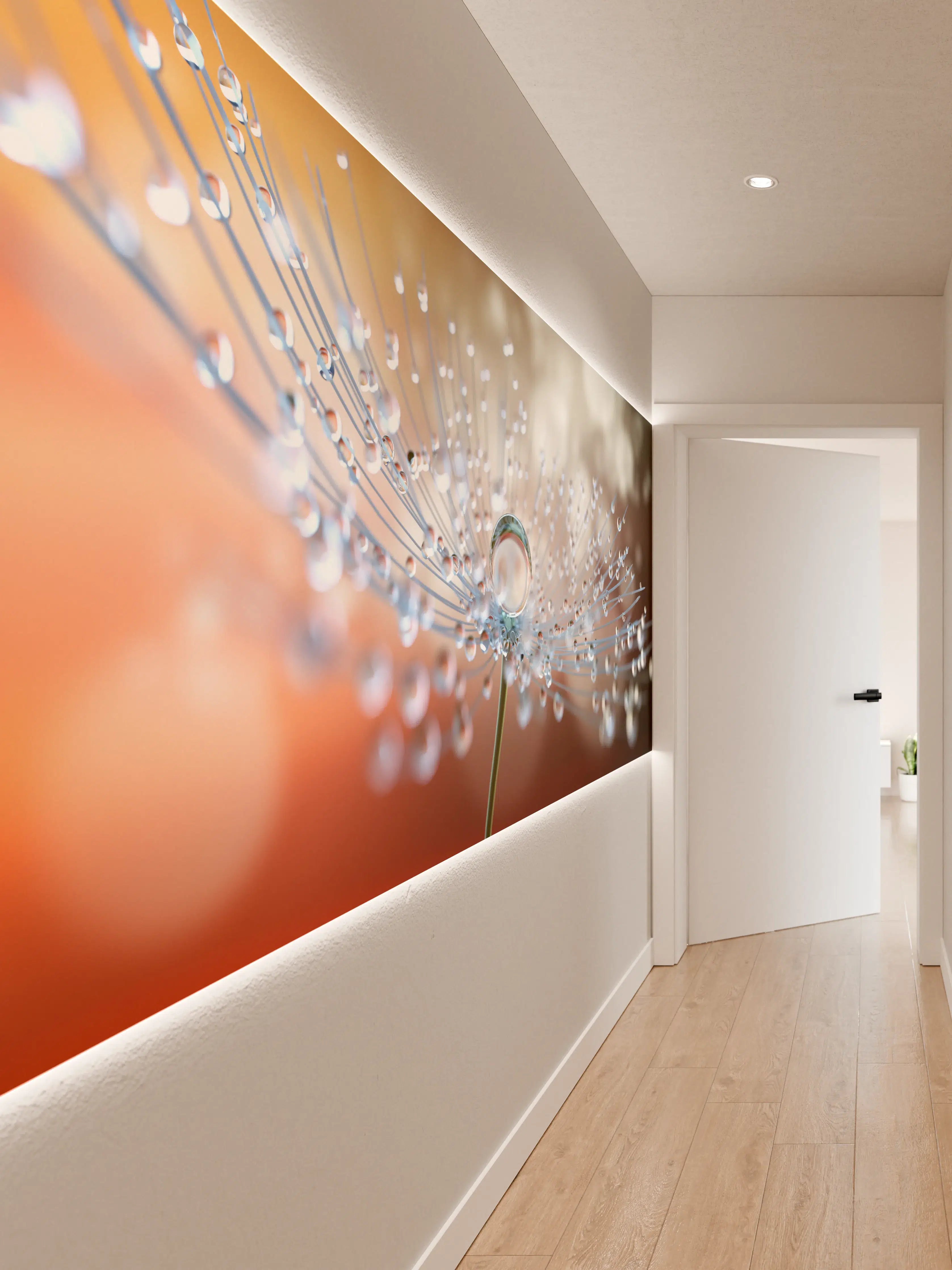 Wandverkleidung Flur - Zarte Wassertröpfchen auf Blüte – Makroaufnahme im Detail