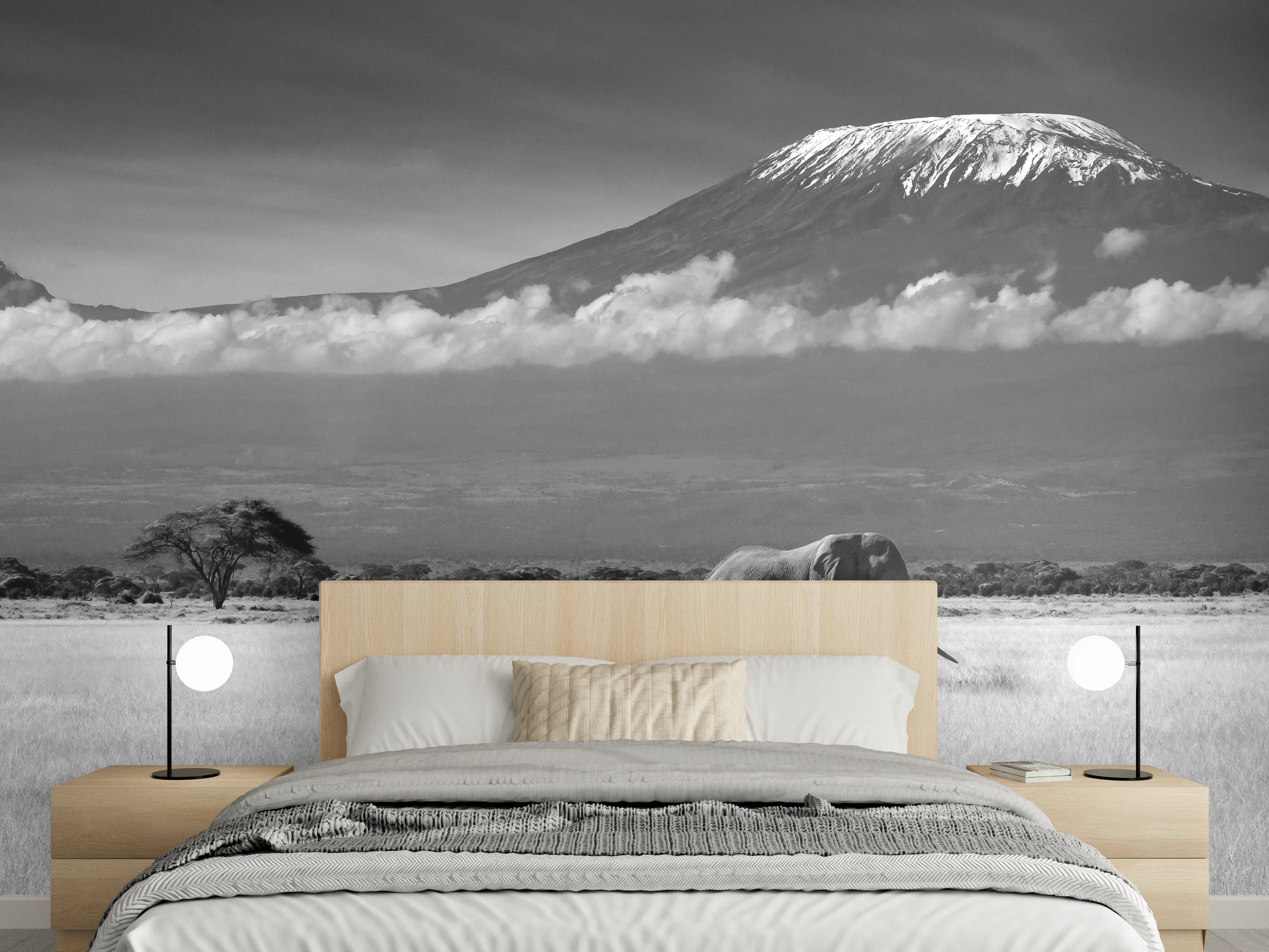 Wandverkleidung Schlafzimmer - Afrikanische Landschaft - Schwarz-weiß