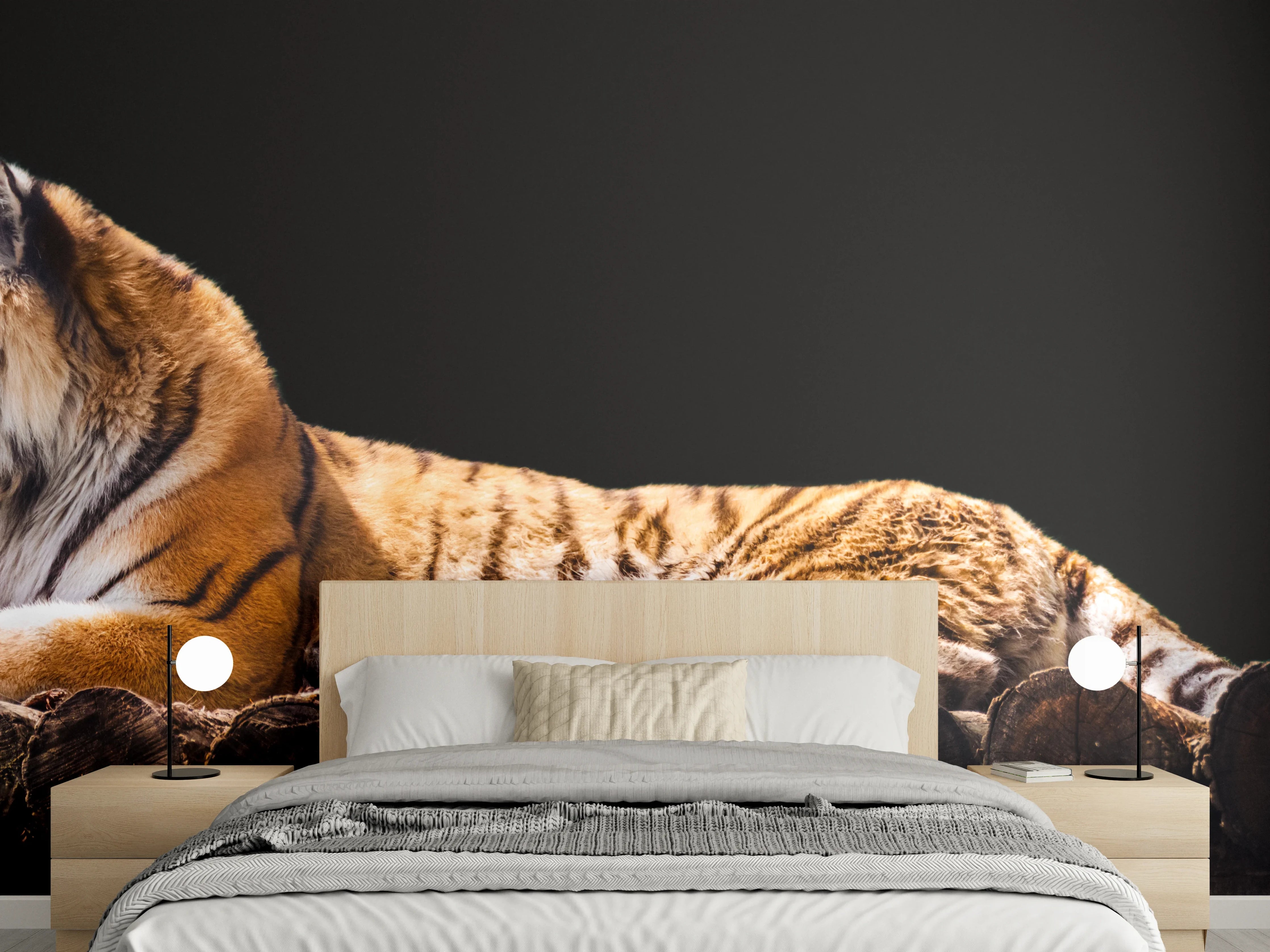 Wandverkleidung Schlafzimmer - Amurtiger liegend auf Holzdeck mit Schwarzem Hintergrund
