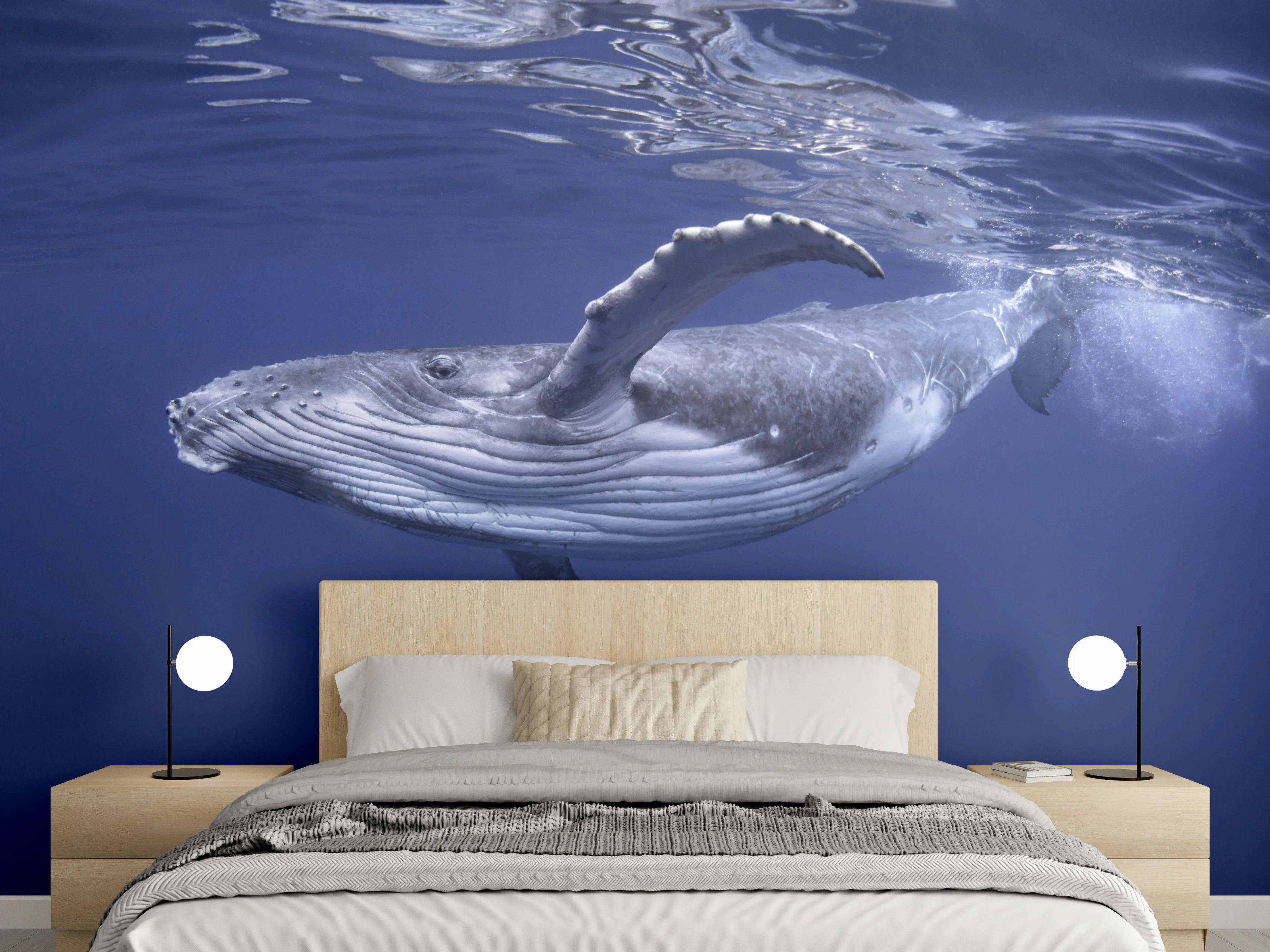 Wandverkleidung Schlafzimmer - Baby-Buckelwal-Kalb im blauen Wasser